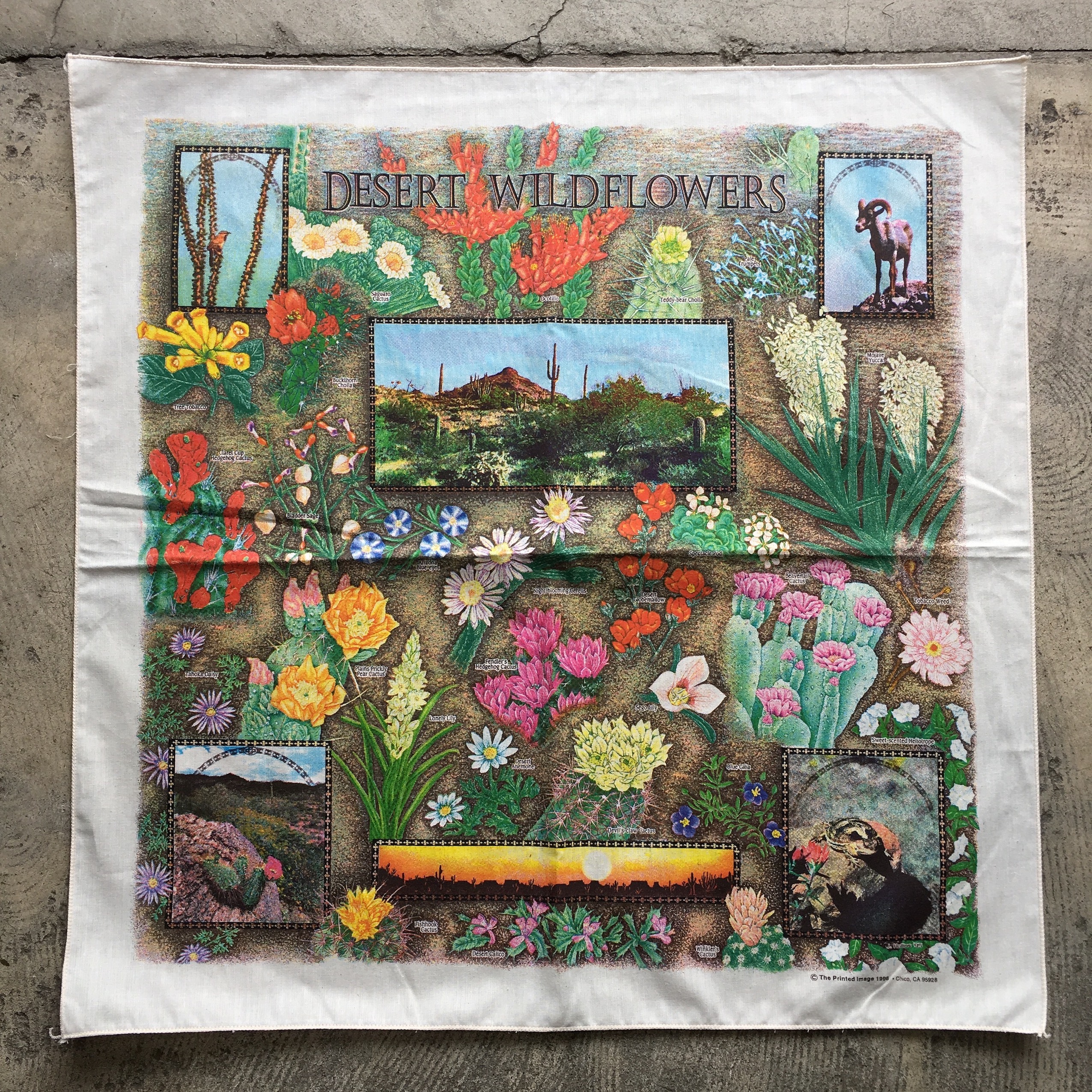 The Printed Image : WILD FLOWER Bandana