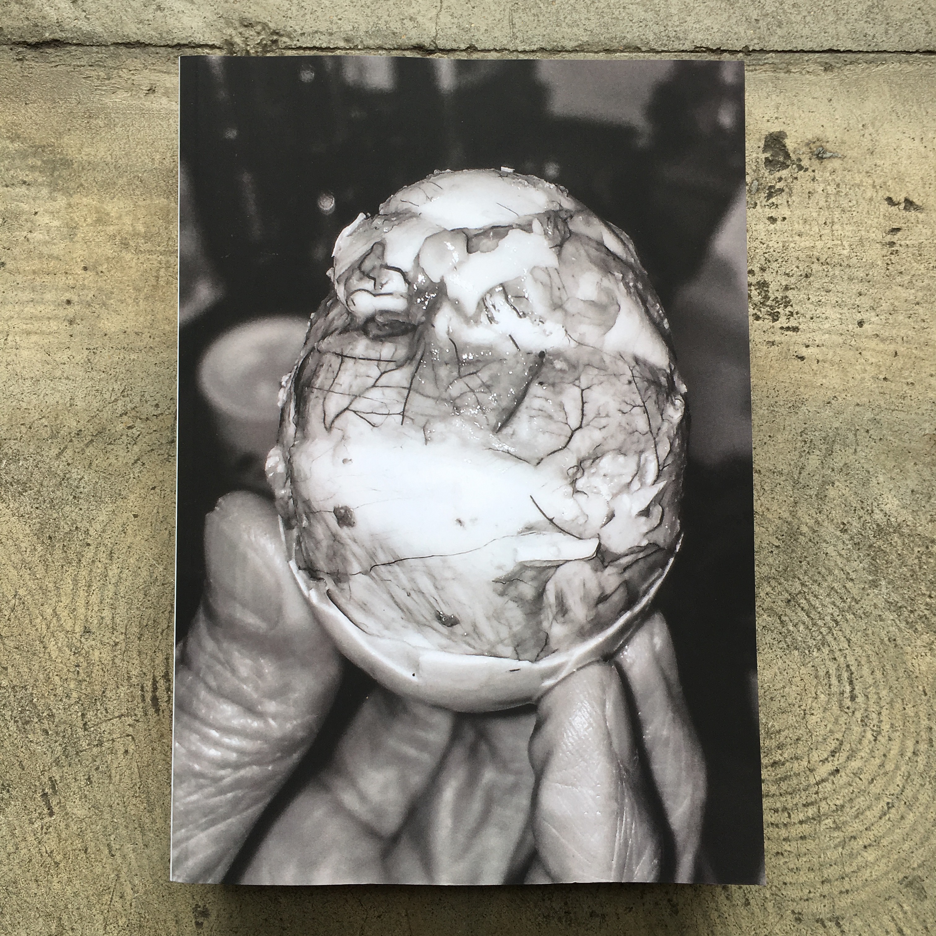 CHRYSALIS : RAY POTES