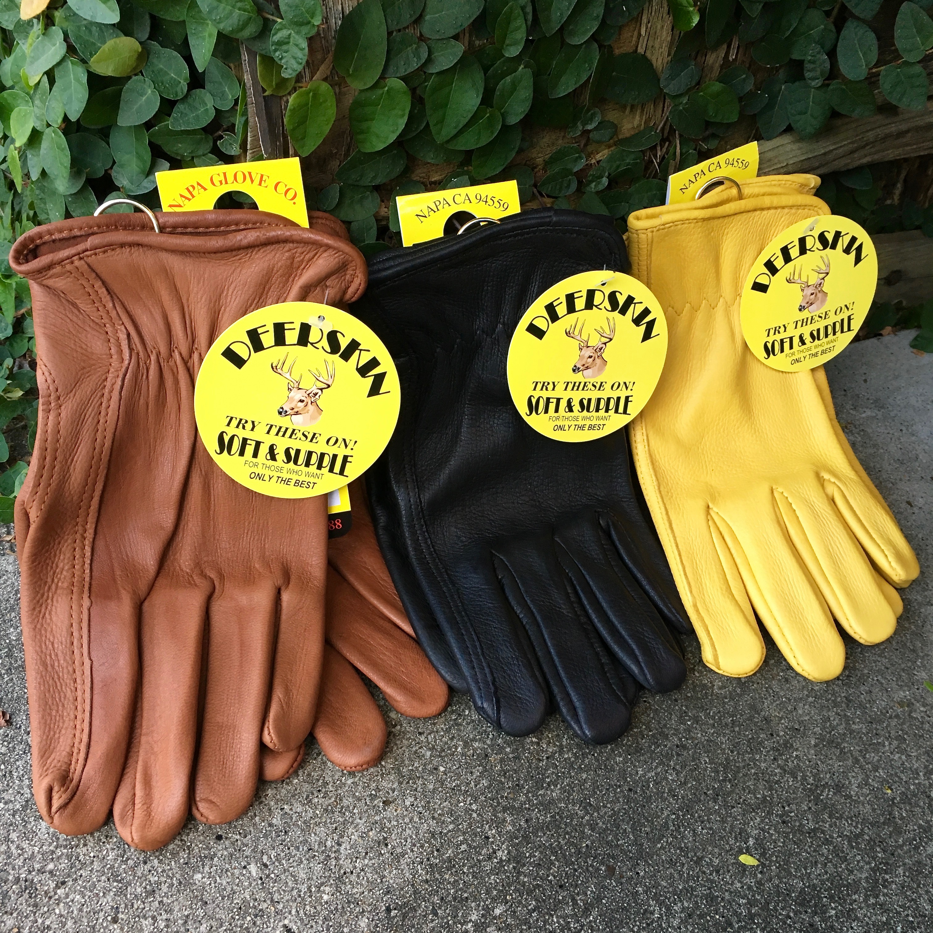 Napa Glove : Deerskin Glove