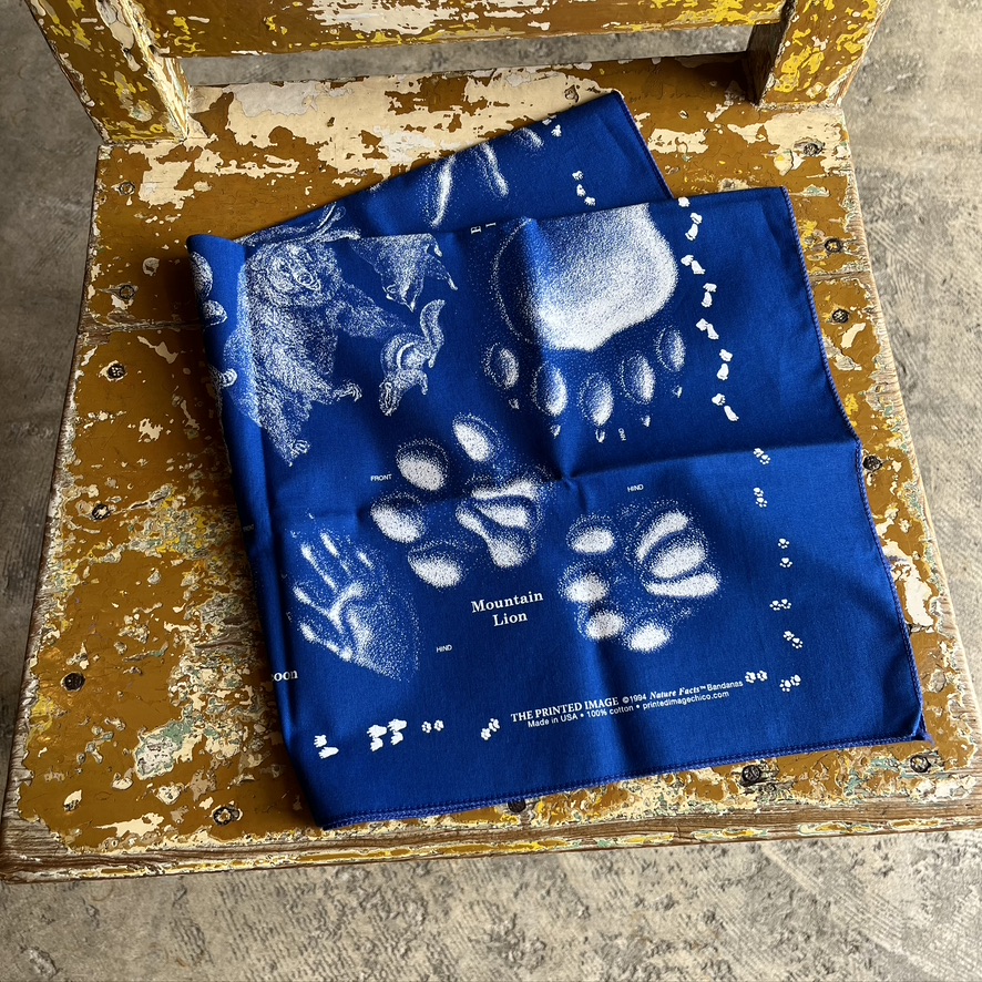 The Printed Image : Bandana