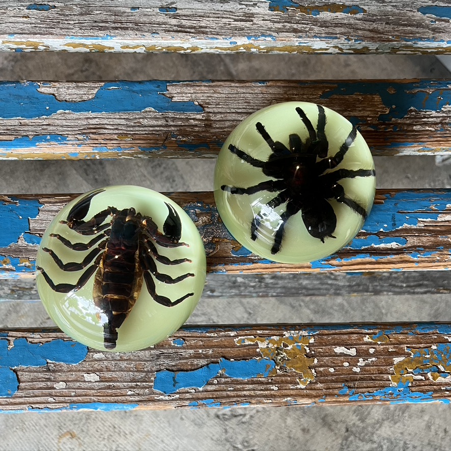 REAL BUG : DOME PAPERWEIGHT