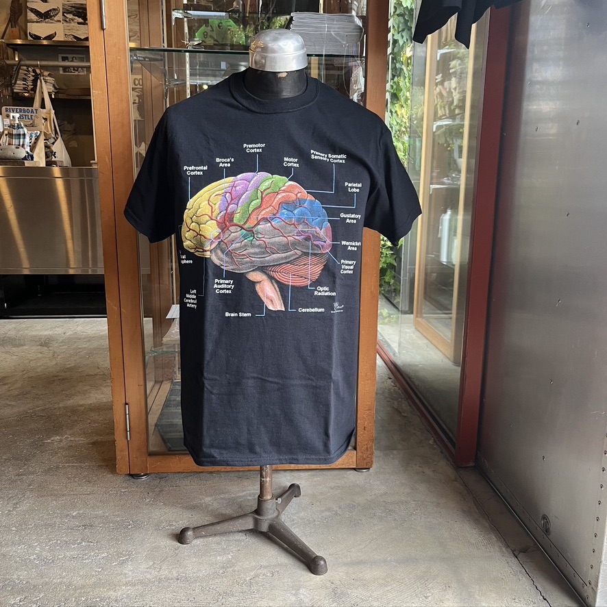 ATLAS SCREEN PRINTING : Vintage Brain Adult T-shir