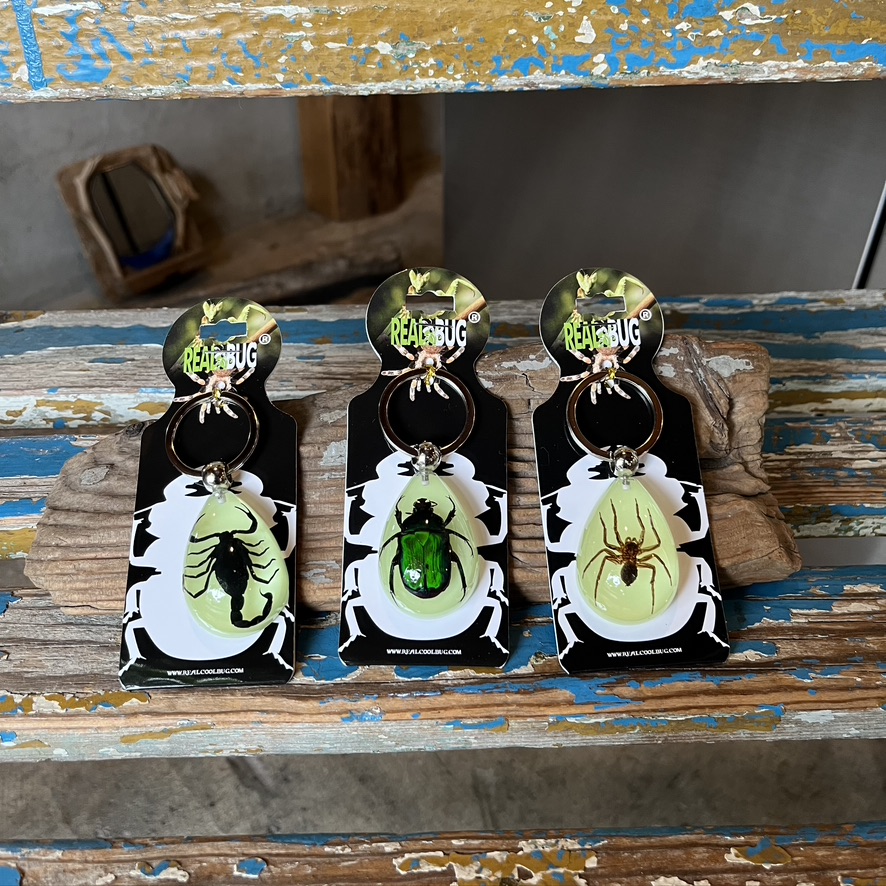 REAL BUG : TEAR DROP KEY CHAIN