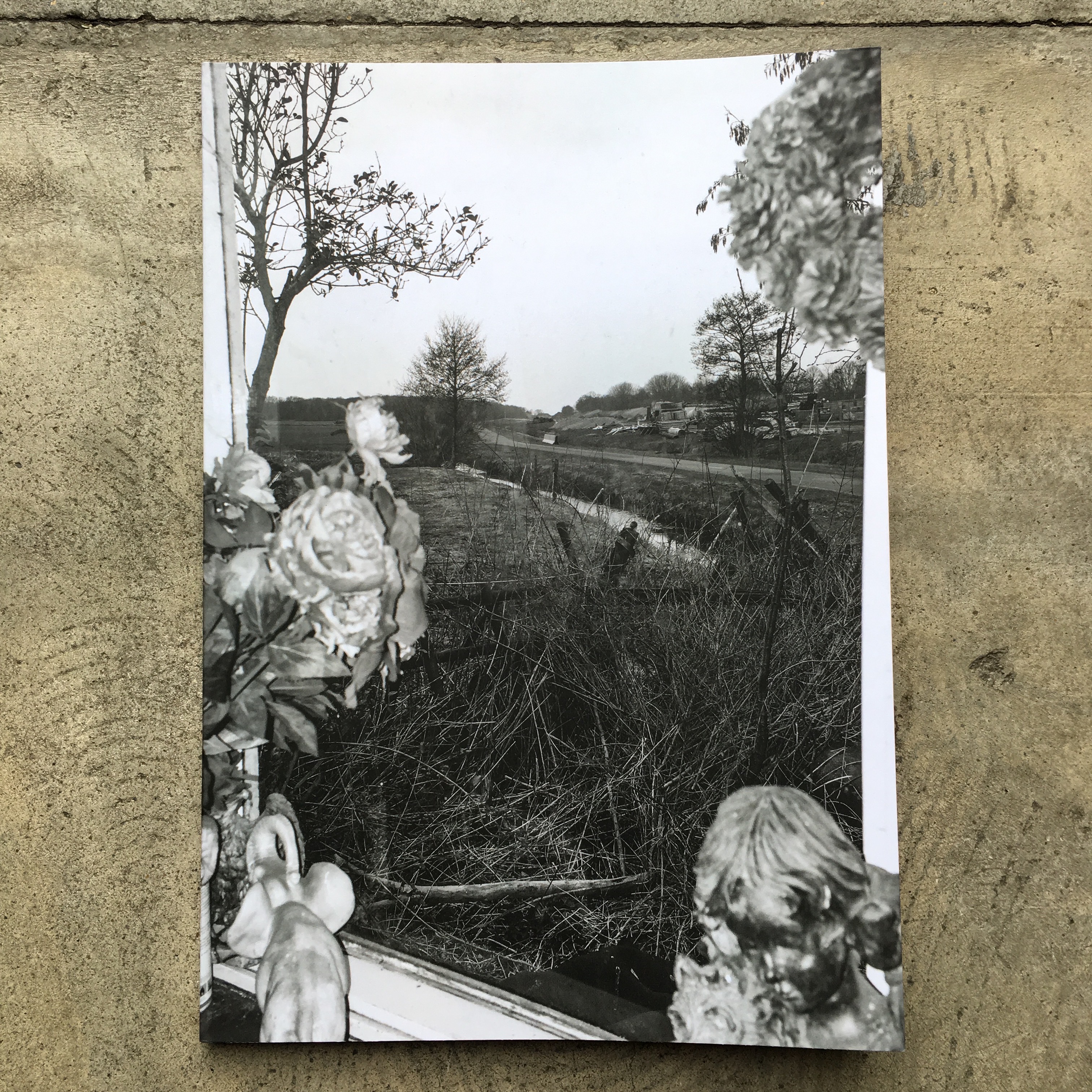 HAMBURGER EYES : ZINE NO.34