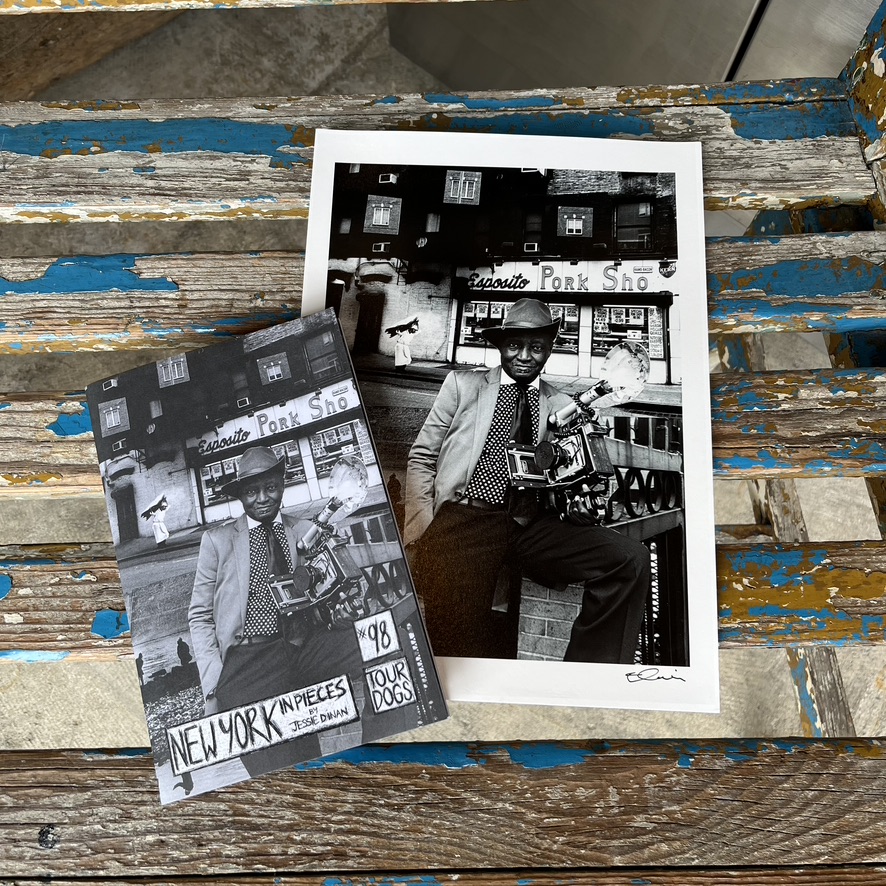 Jessie Dinan : New York In Pieces Print,zine