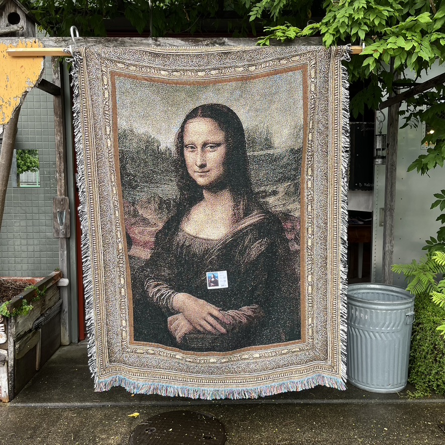 PURE COUNTRY WEAVERS : COTTON WOVEN BLANKET THROW