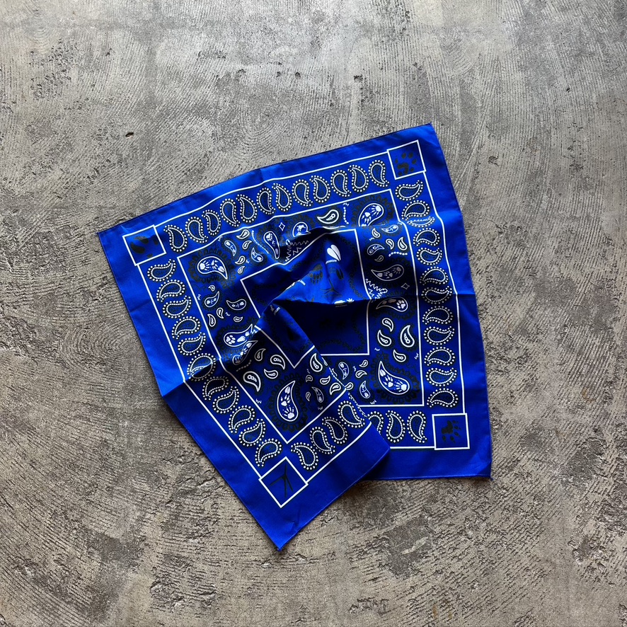 The Printed Image : Paisley Tracks Bandana