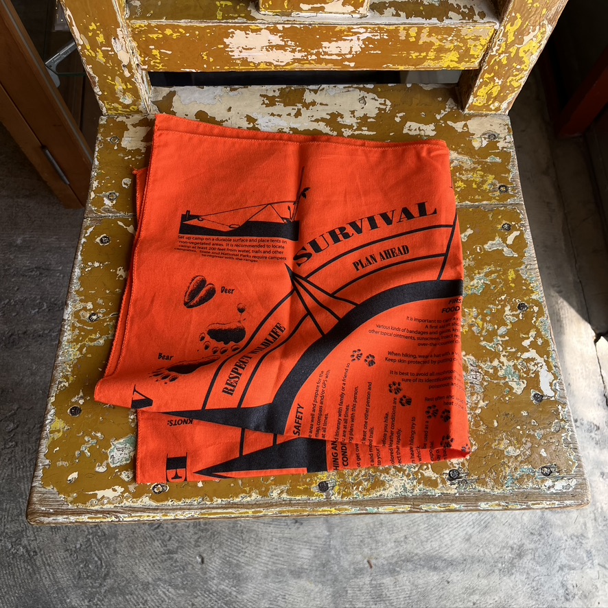 The Printed Image : Survival Bandana