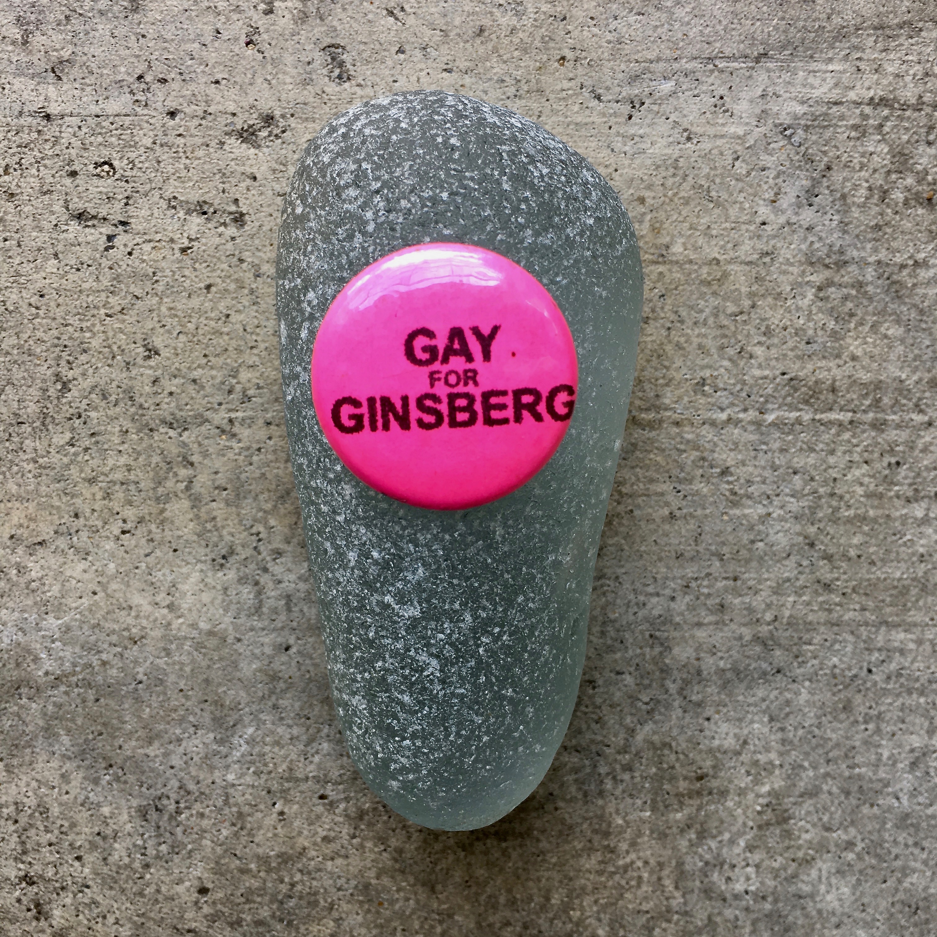 GINSBERG PINS
