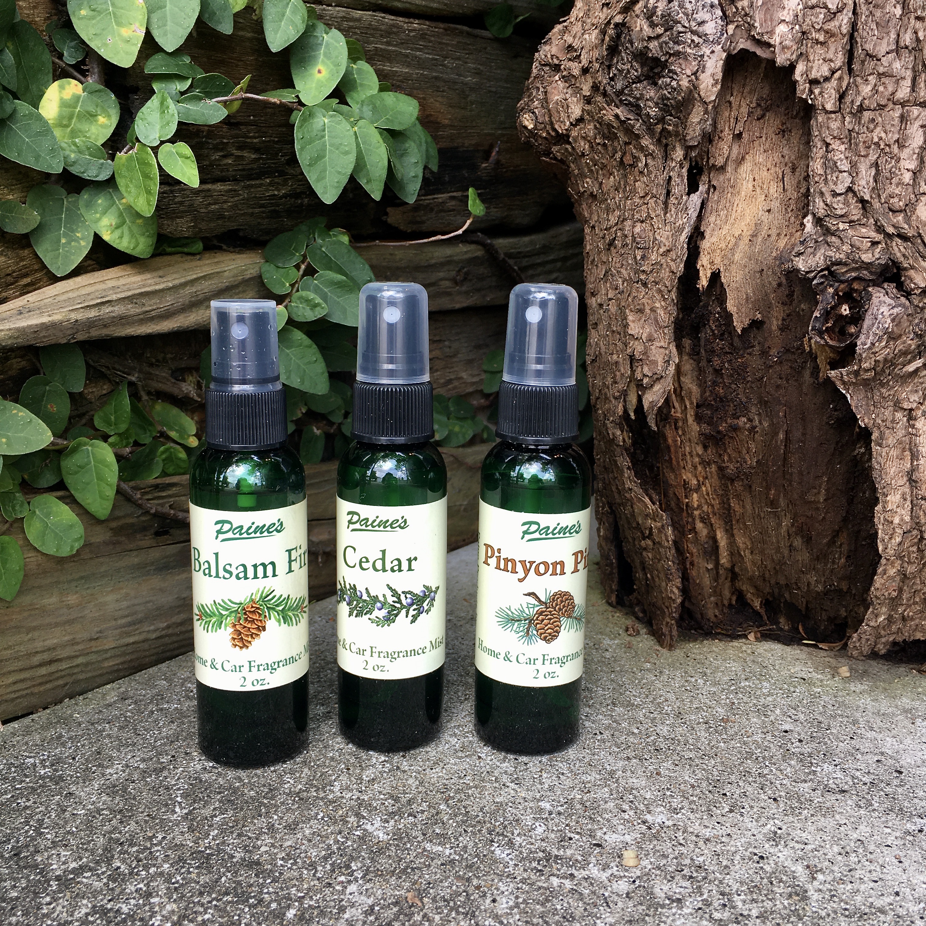 PAINES PRODUCTS : MIST OIL