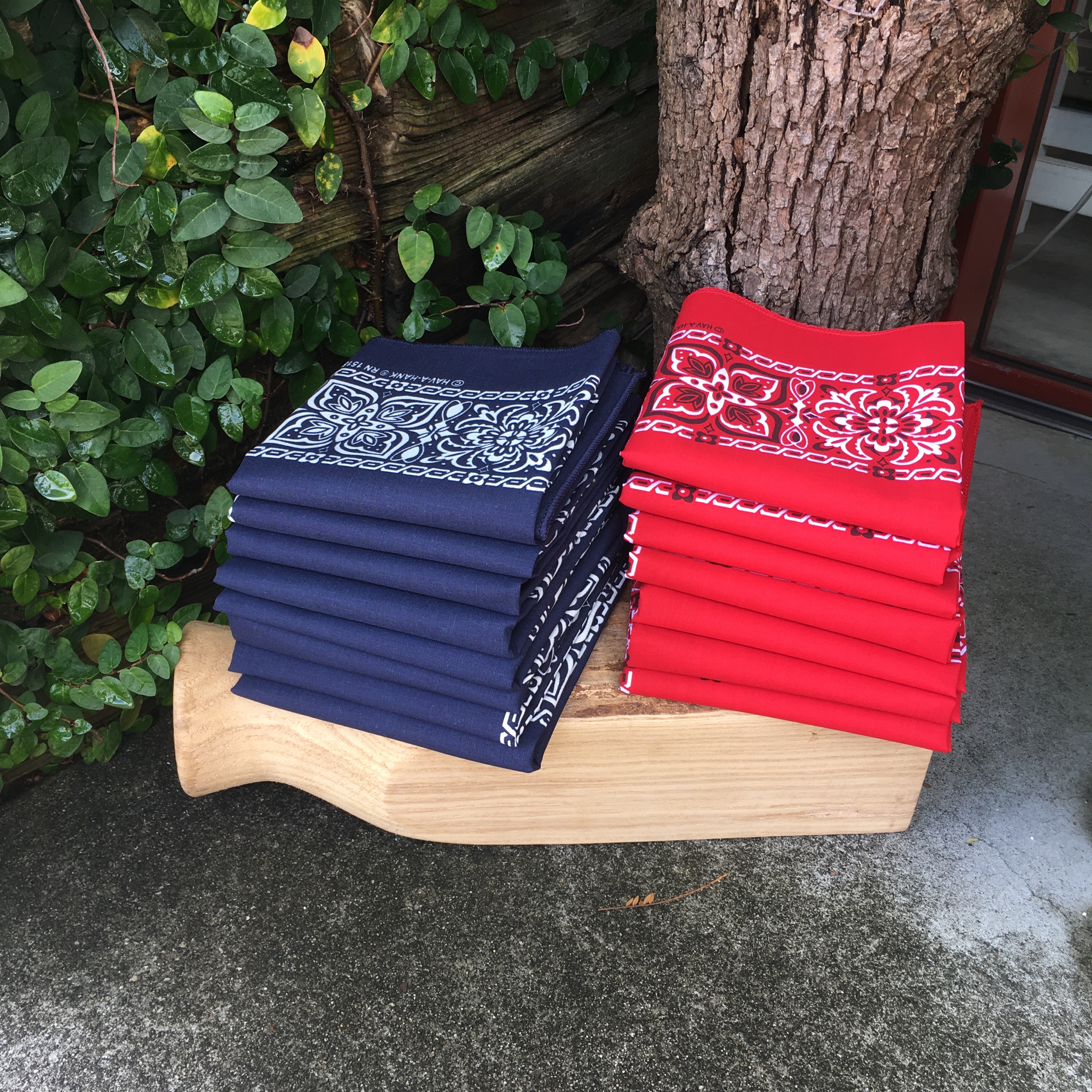 HAV-A-HANK : BANDANNA