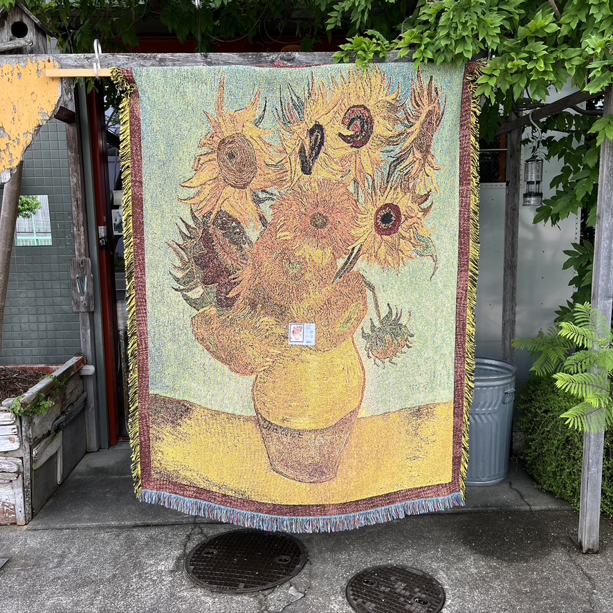 PURE COUNTRY WEAVERS : COTTON WOVEN BLANKET THROW