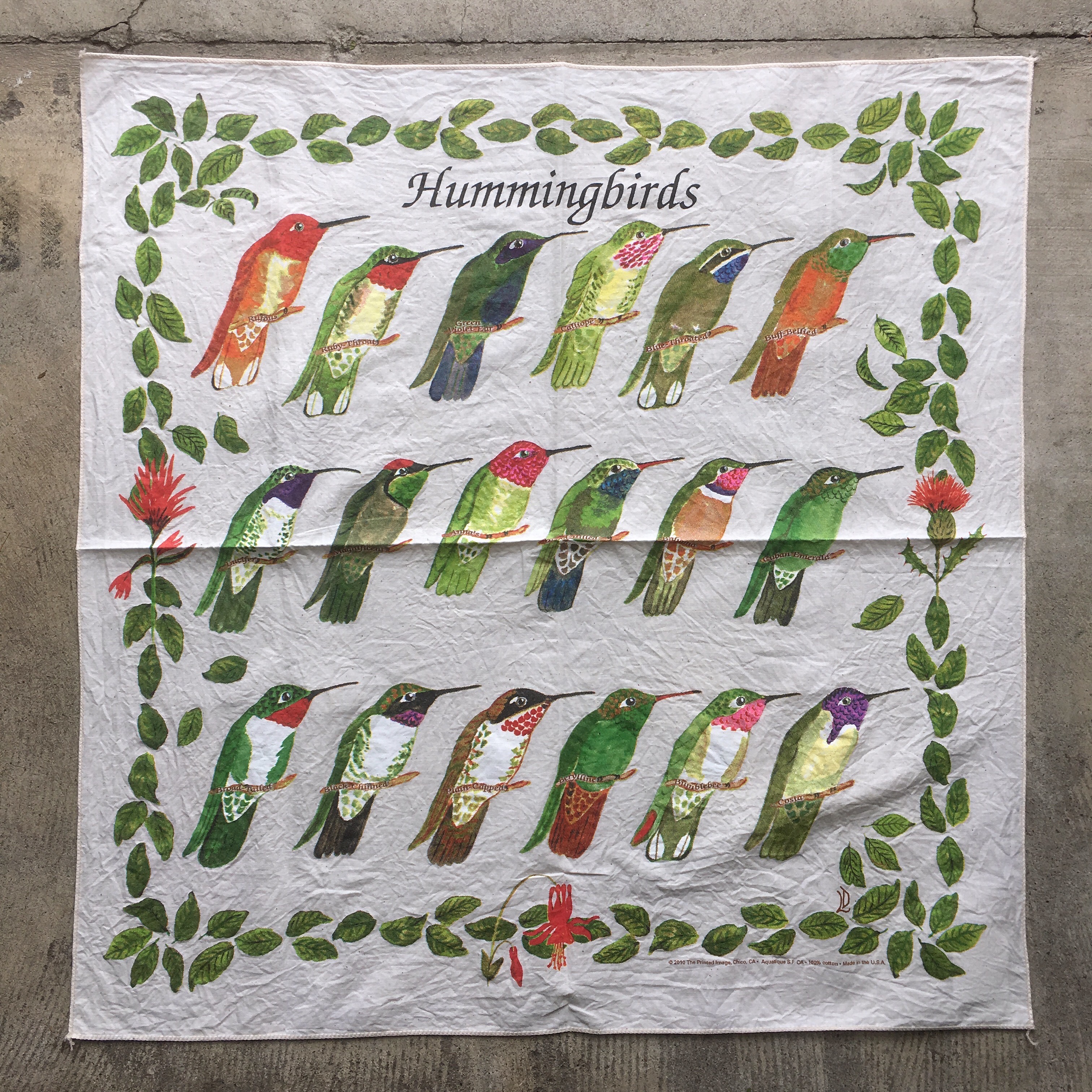The Printed Image : Humming birds,D.Flower Bandana