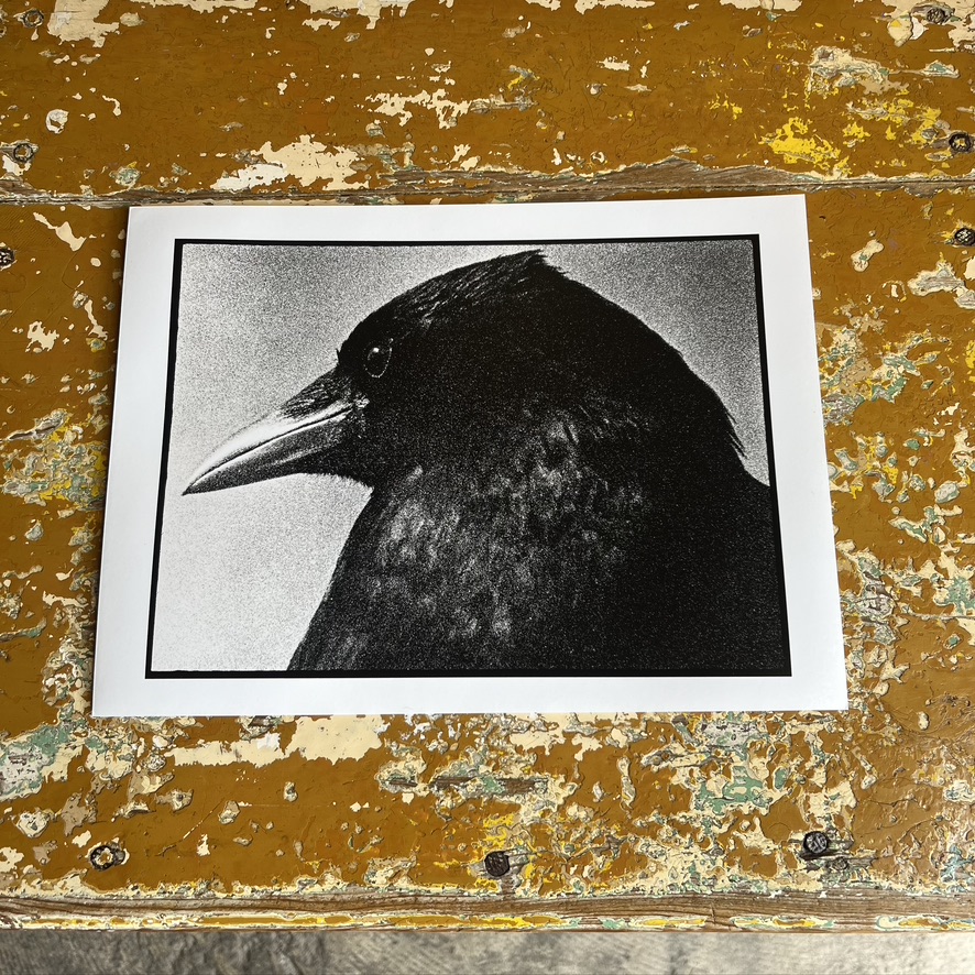 MAREK MAJEWSKI : BURIED DREAMS Raven Print