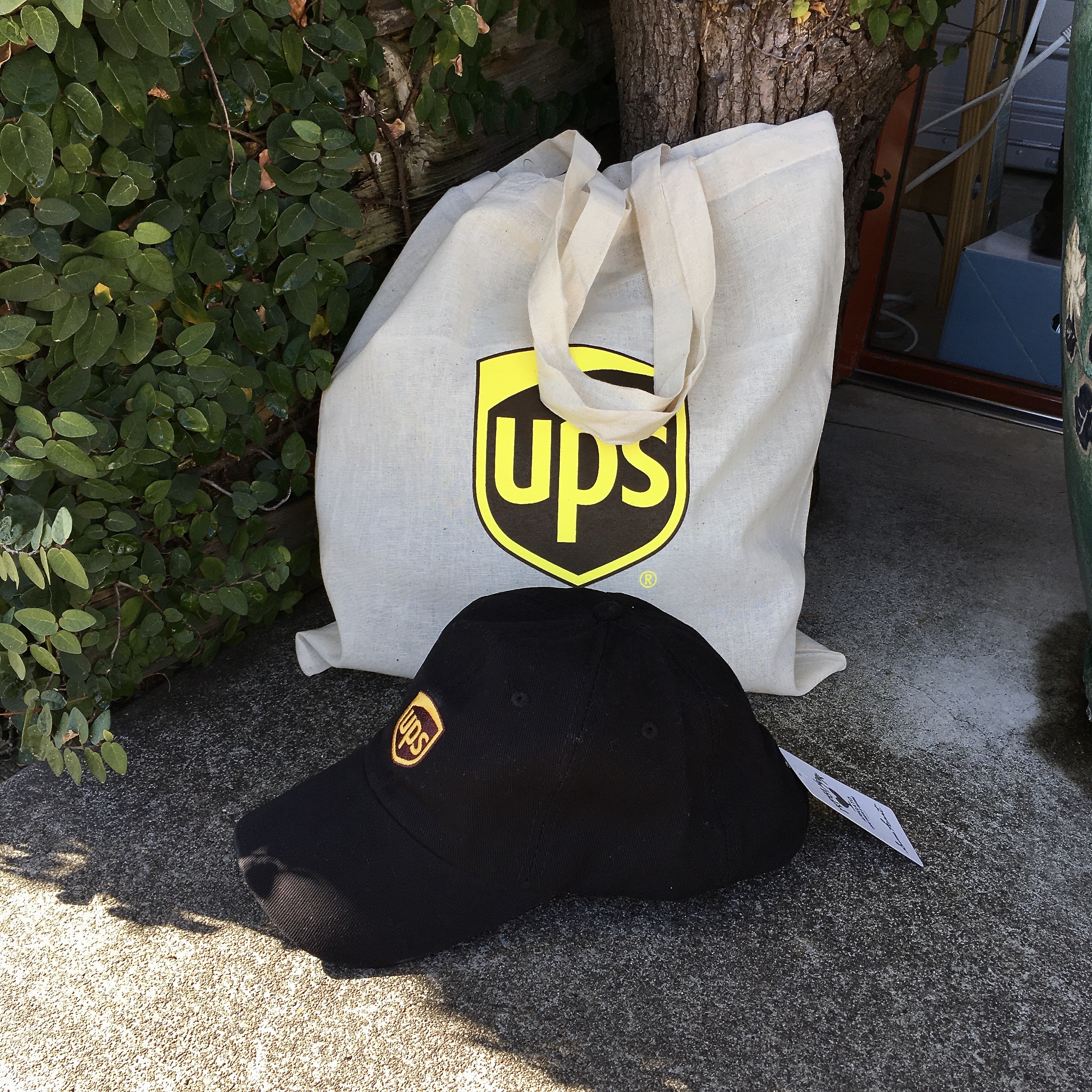 UPS : EU CAP ,TOTE BAG