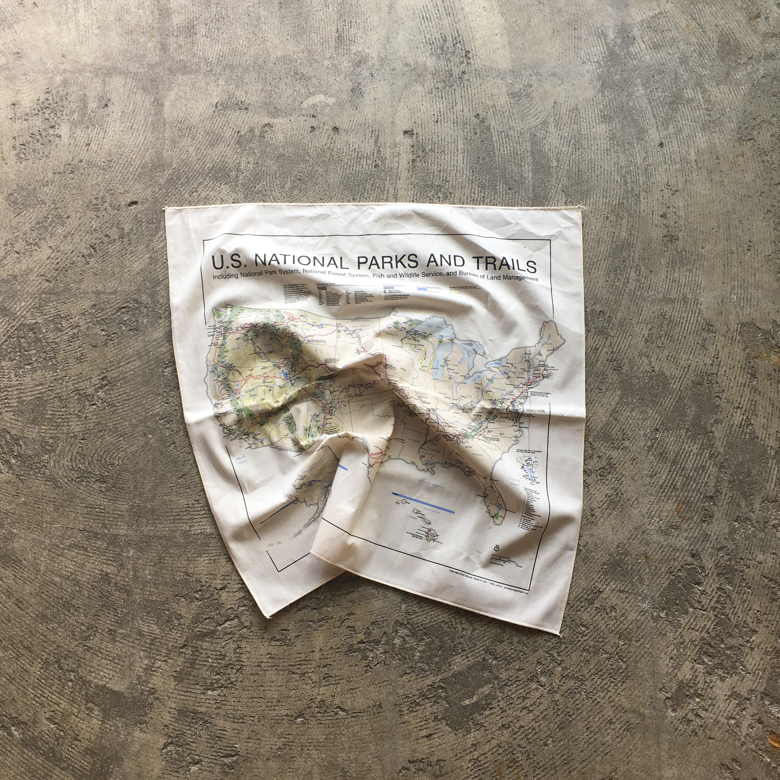 The Printed Image : US National Park Bandana