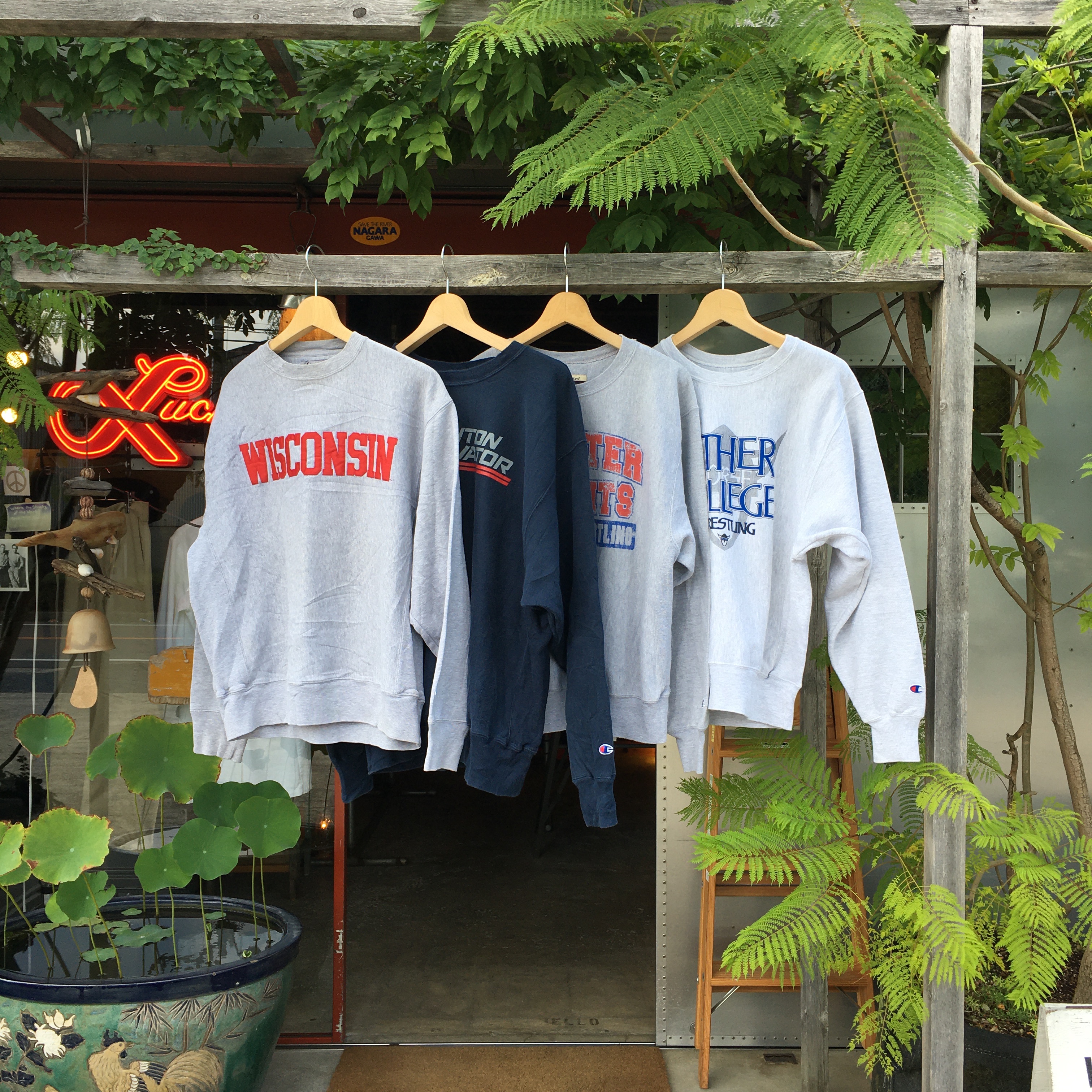 CHAMPION  : REVERSE WEAVE (USED) 