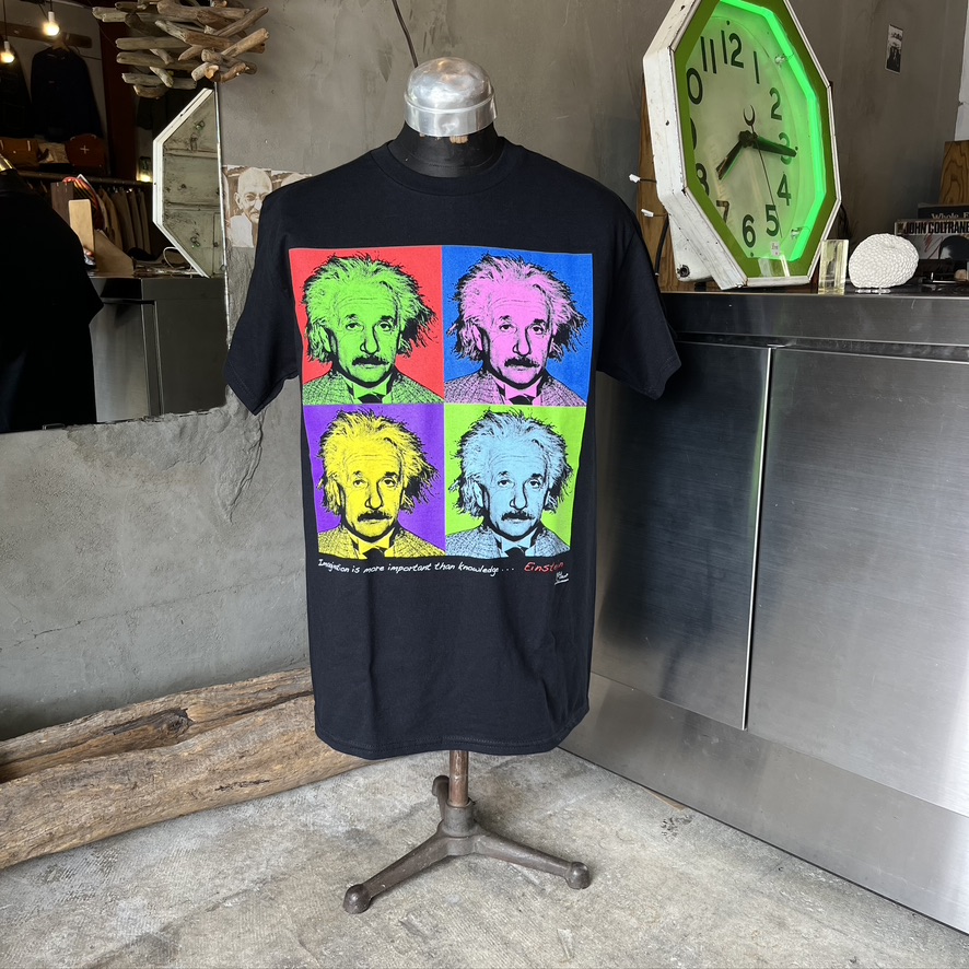 ATLAS SCREEN PRINTING : Imagine Einstein Adult T-s