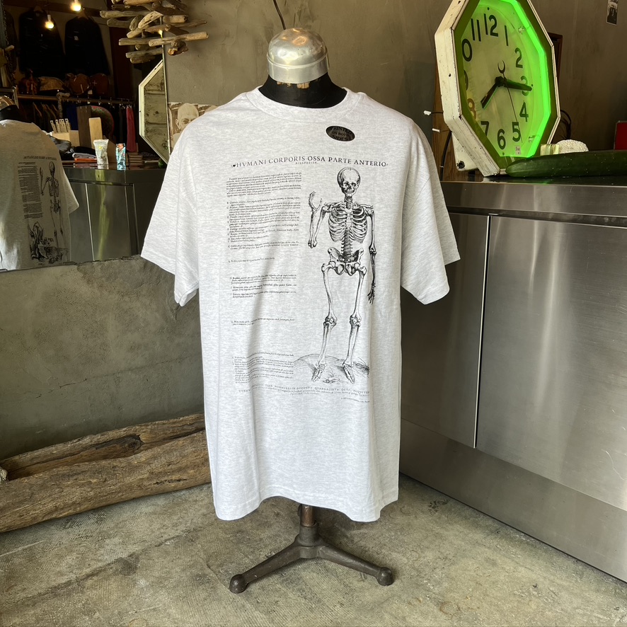 COTTON EXPRESSIONS : VASALIUS SKELETON T-SHIRT