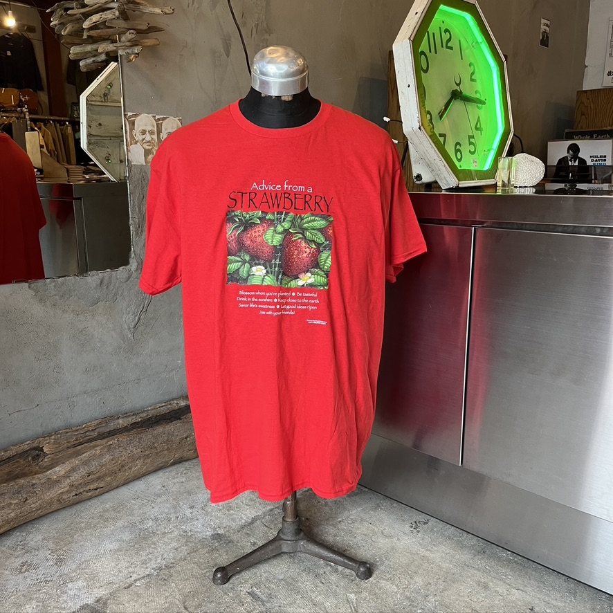EARTH SUN MOON : Advice from Strawberry T-Shirt