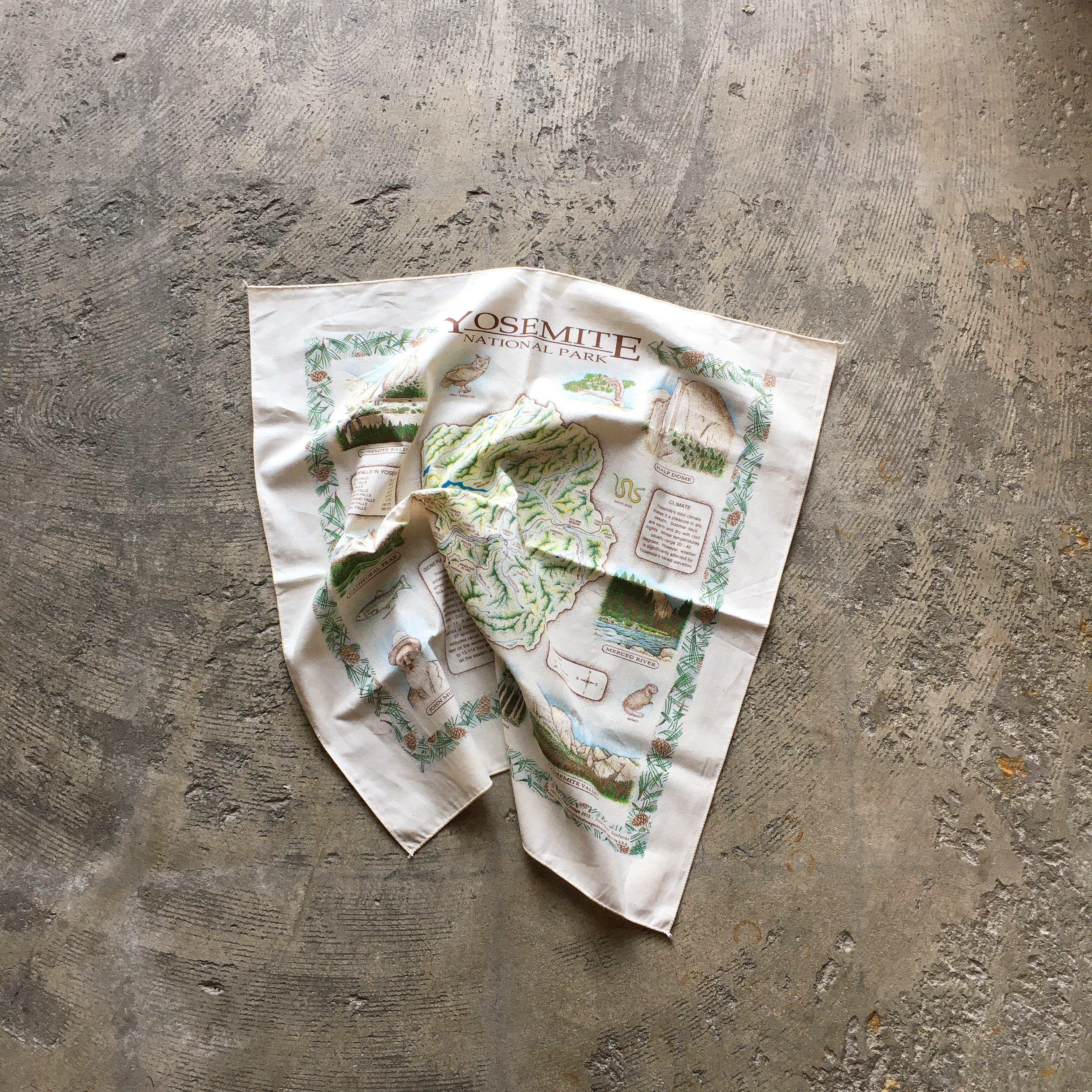 The Printed Image : Yosemite National Park Bandana