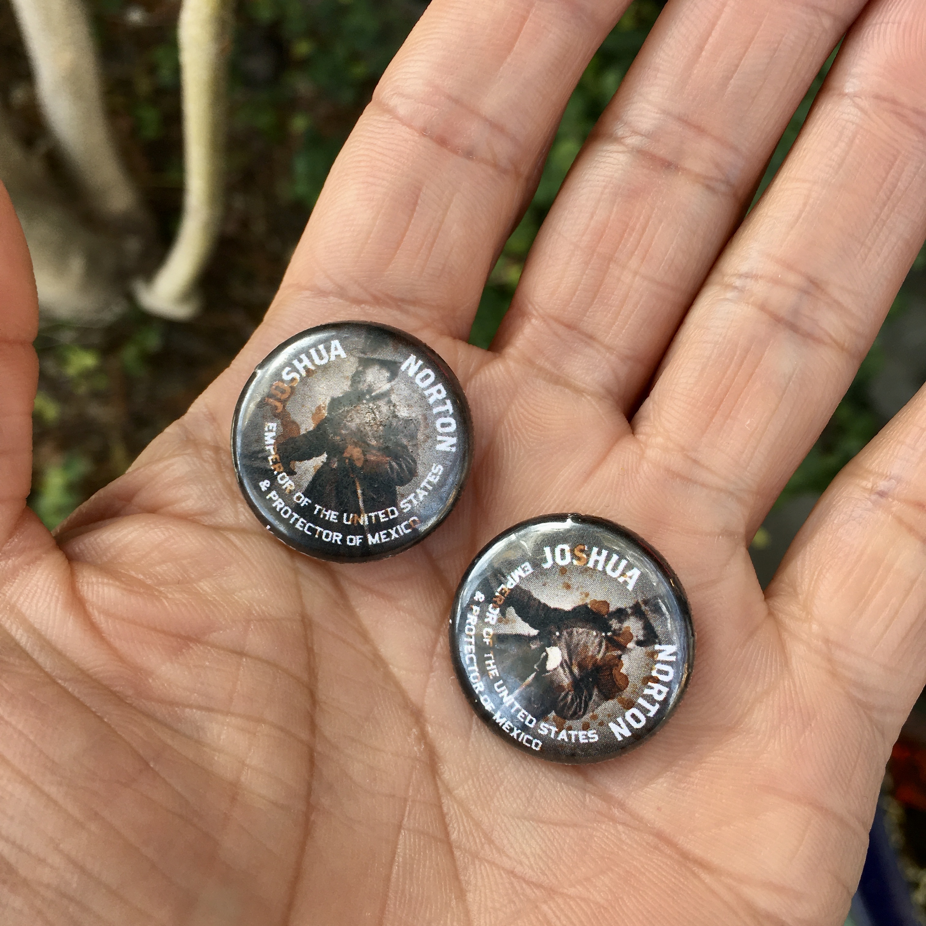 JOSHUA NORTON PINS 
