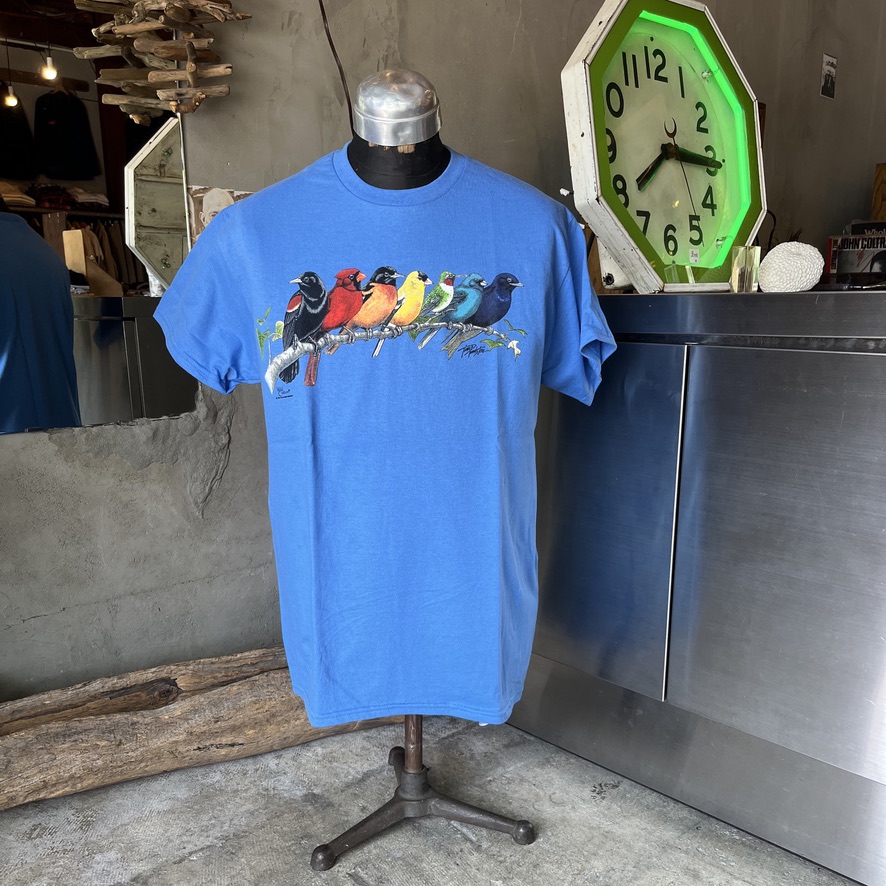 ATLAS SCREEN PRINTING : Songbird spectrum Adult T-