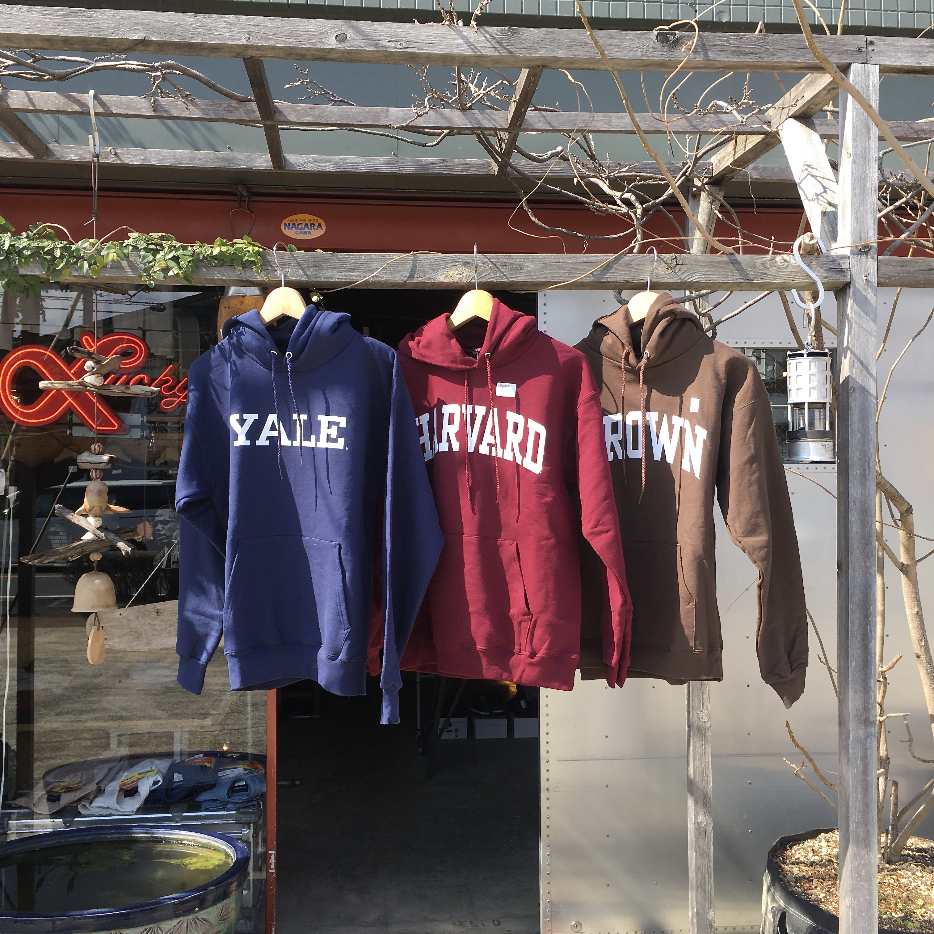  THE IVY SPORT : CLASSIC HOODIE 