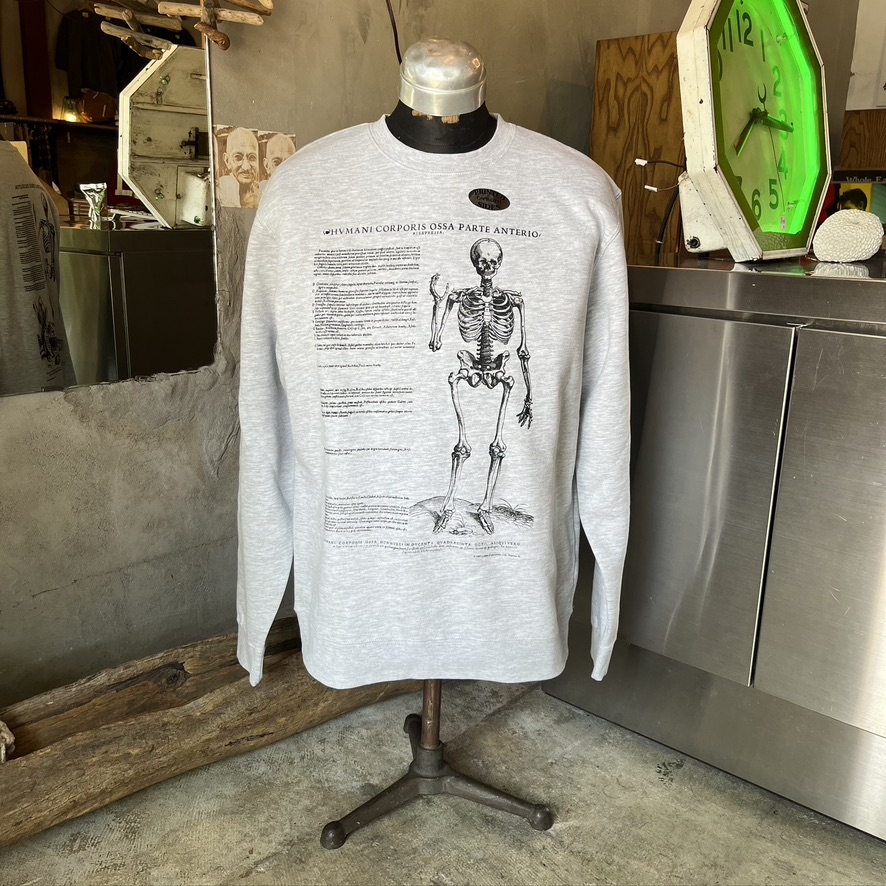 COTTON EXPRESSIONS : VASALIUS SKELETON SWEAT SHIRT