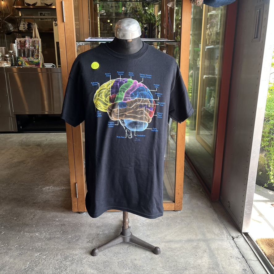 ATLAS SCREEN PRINTING : Vintage Brain Adult T