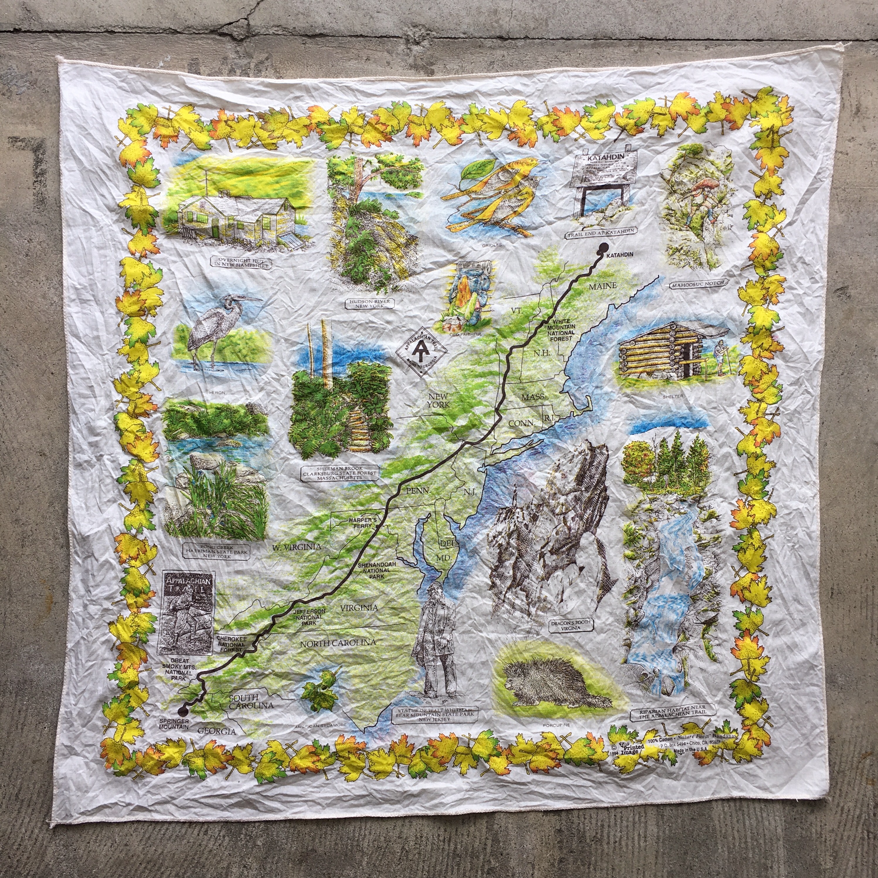  The Printed Image : APPALACHIAN.T,YOSEMITEBandana