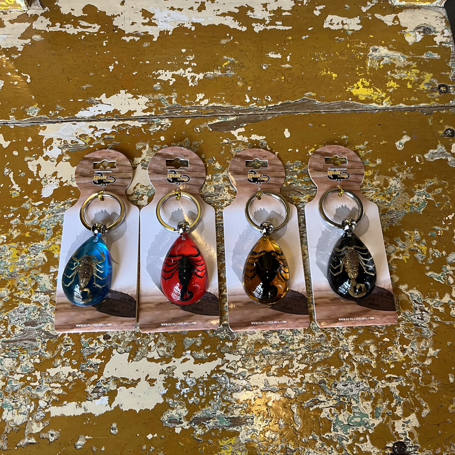 REAL BUG : SCORPION TEAR DROP KEY CHAIN