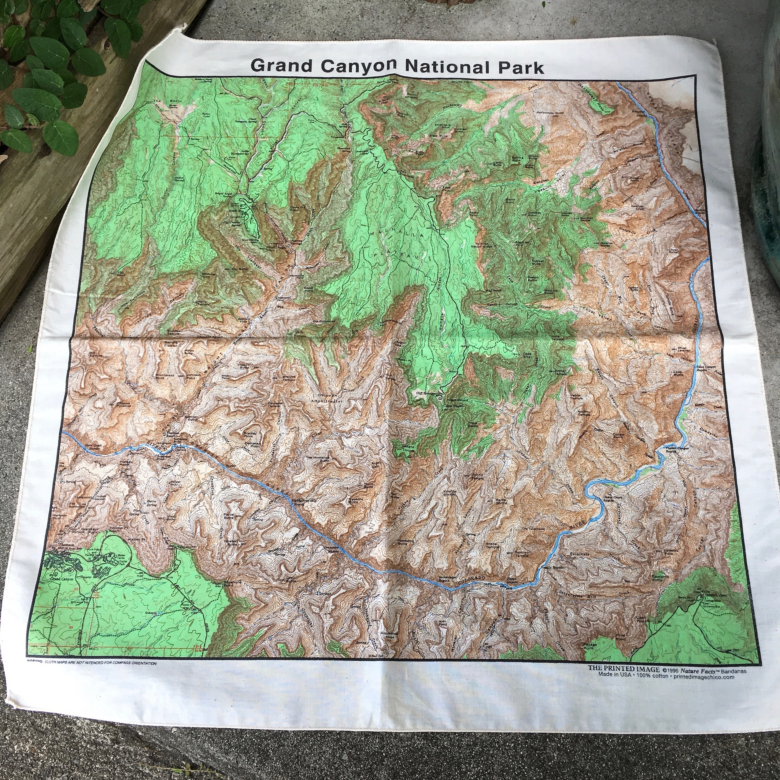 The Printed Image : National Park Bandana
