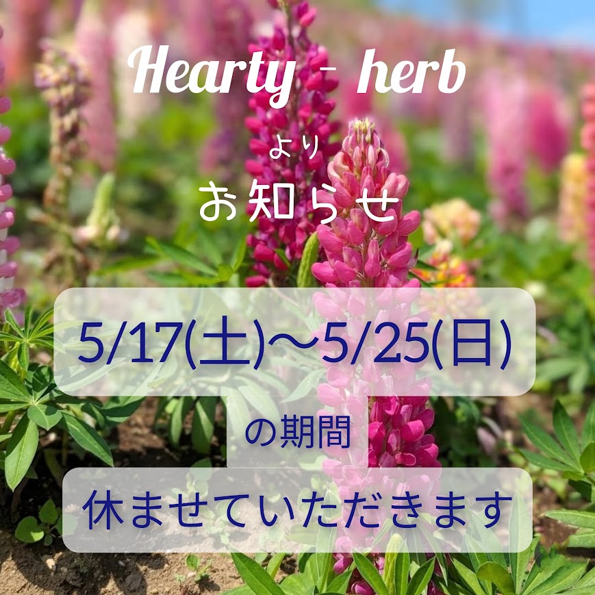 2025年春休みについて