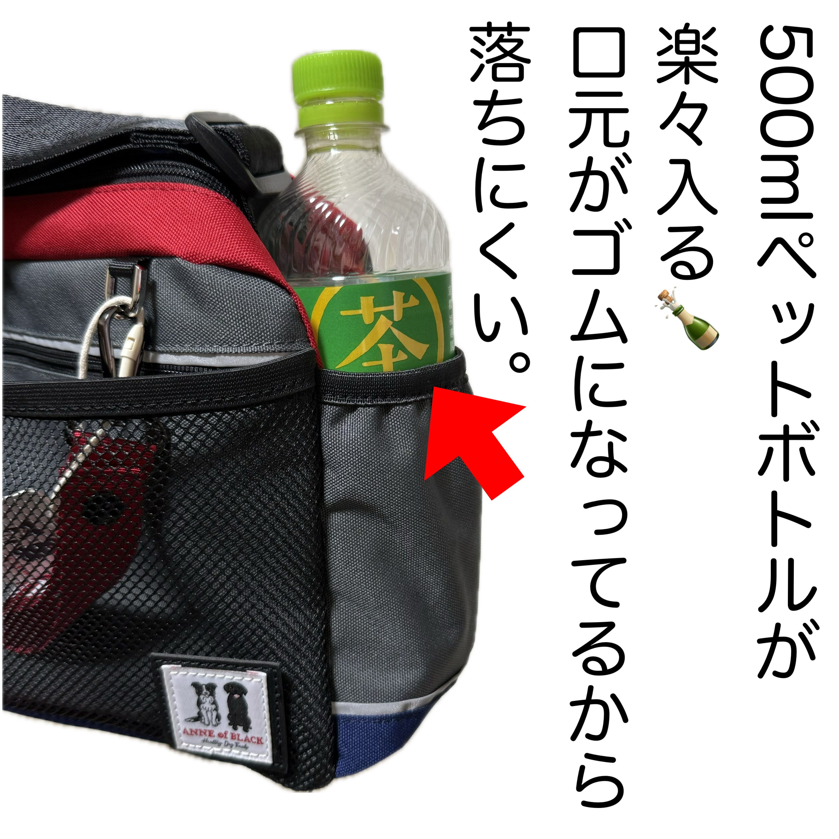 新作入荷