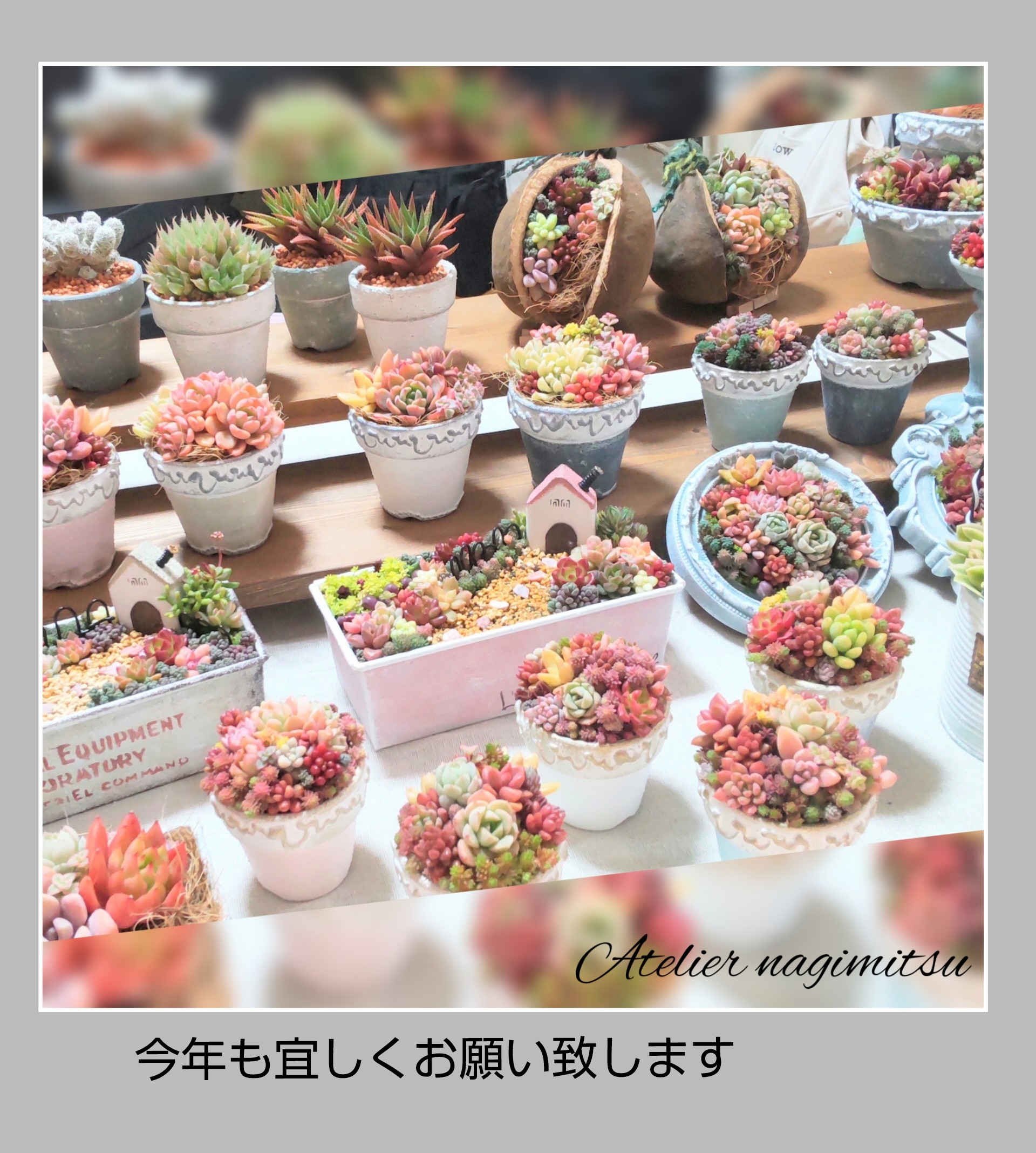 今年も宜しくお願い致します(⁠人⁠*⁠´⁠∀⁠｀⁠)⁠｡⁠*ﾟ⁠+