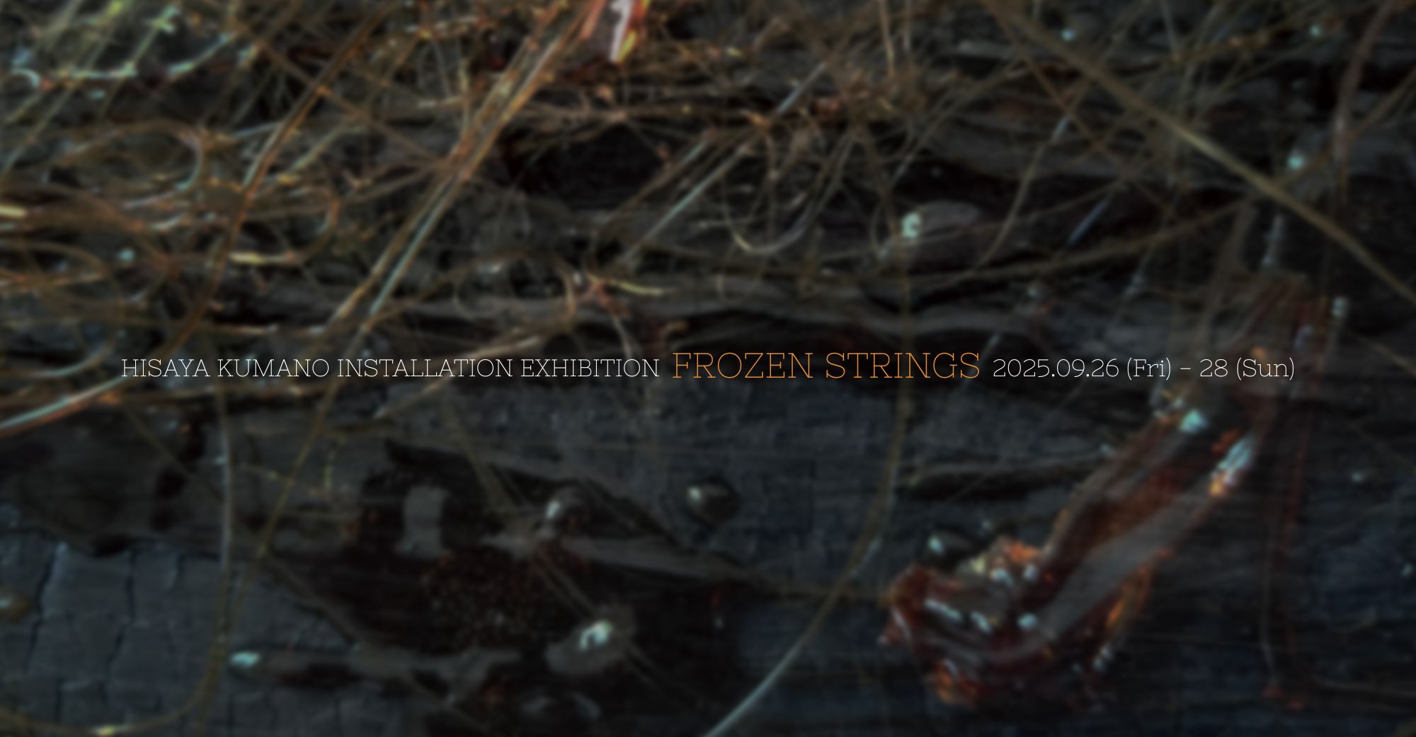 華道家・空間演出家 熊野寿哉 個展FROZEN STRINGS」が渋谷で9月26日より開催