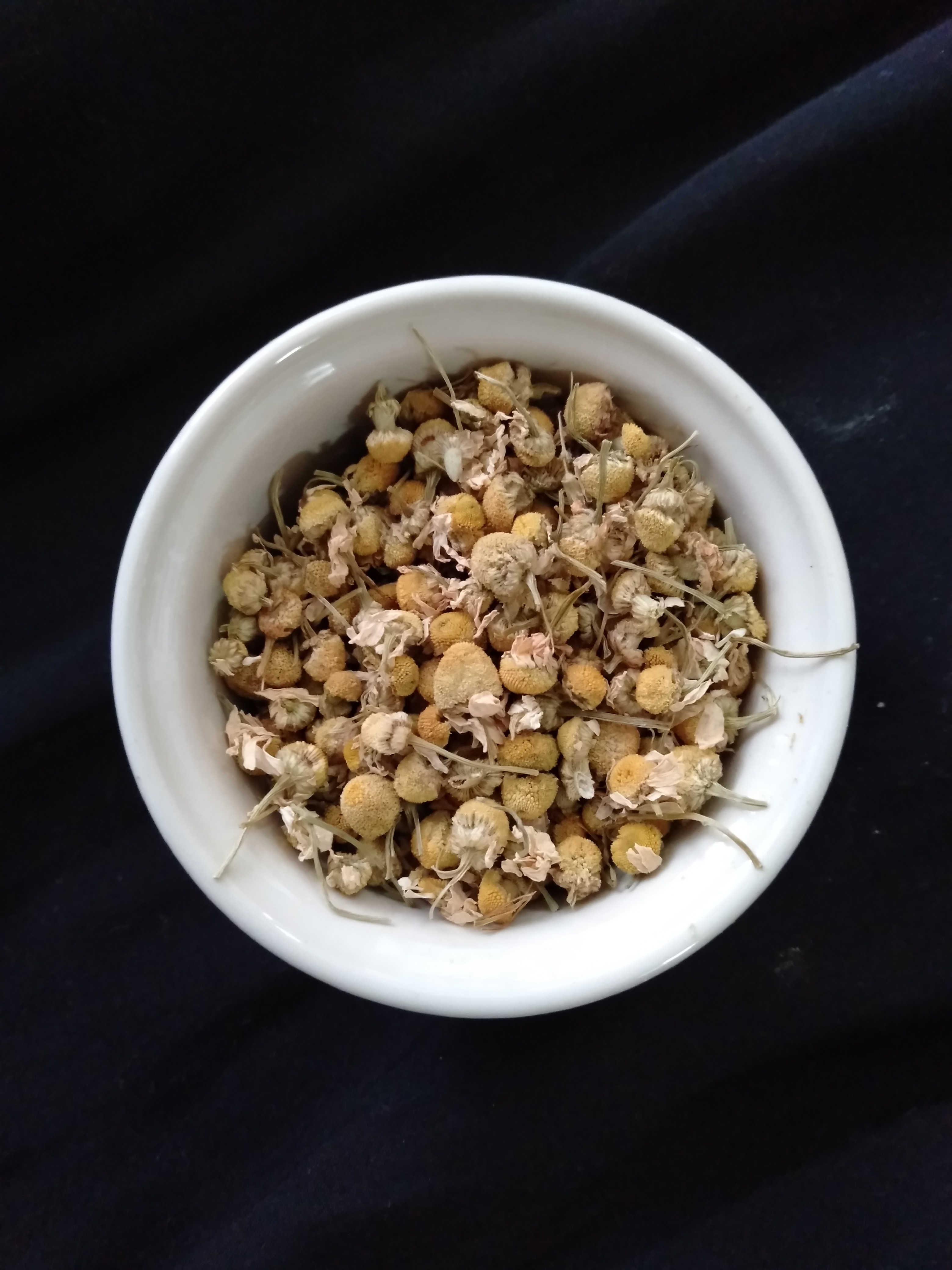 ジャーマンカモミールのお話