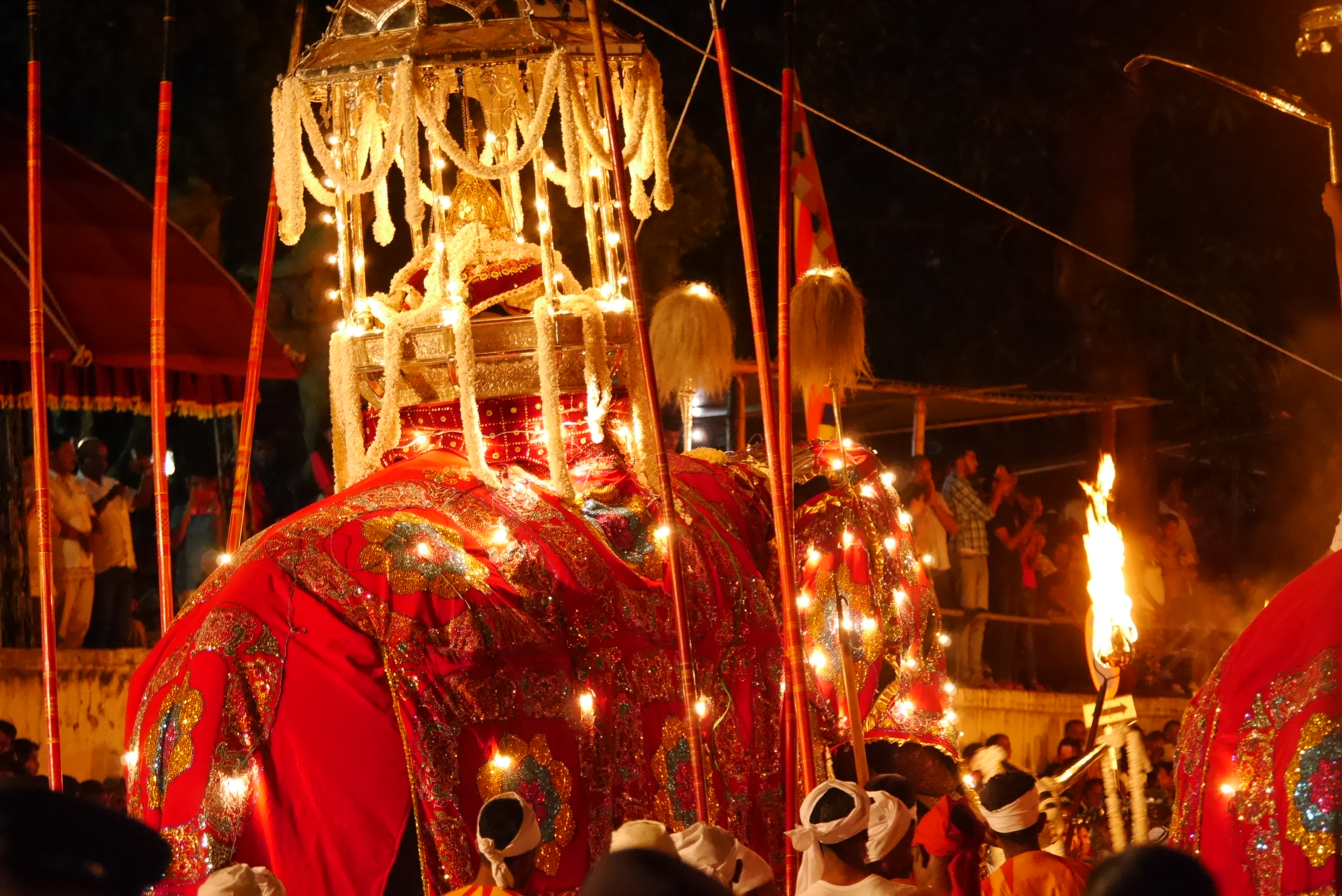 一年に一度の仏陀の歯がお寺から出される有名なペラヘラ祭
