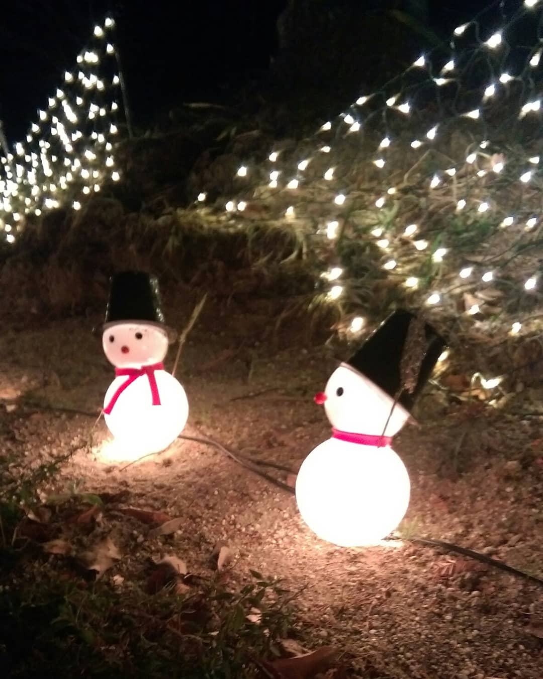 Merry christmas♛　皆様、素敵なX'masをお過ごし下さいませ♪