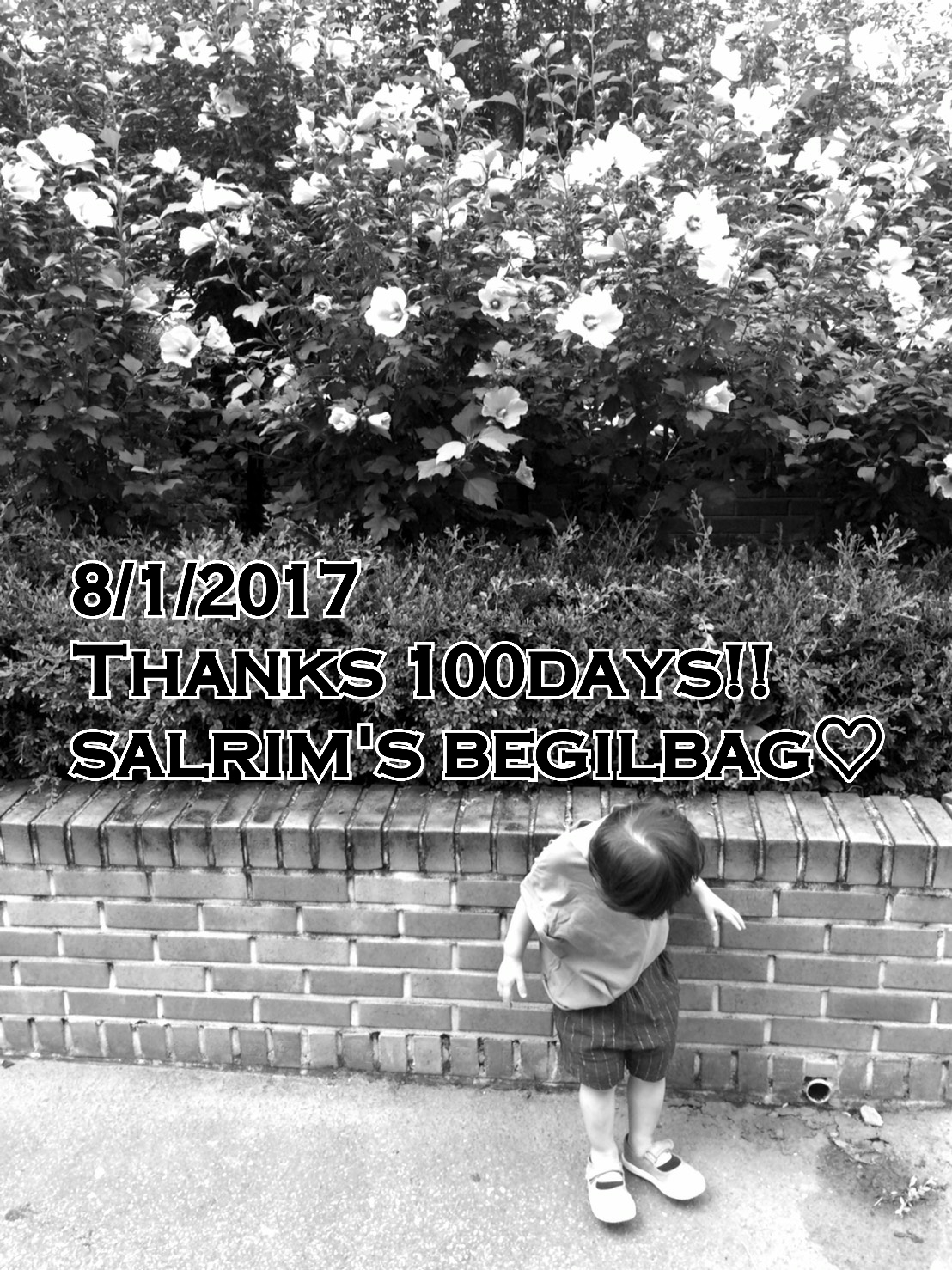 salrimがopen100日達成！21時～100日記念のお得なbegilbagを販売開始♪ 