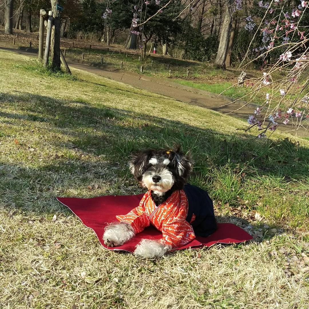 いつから？
