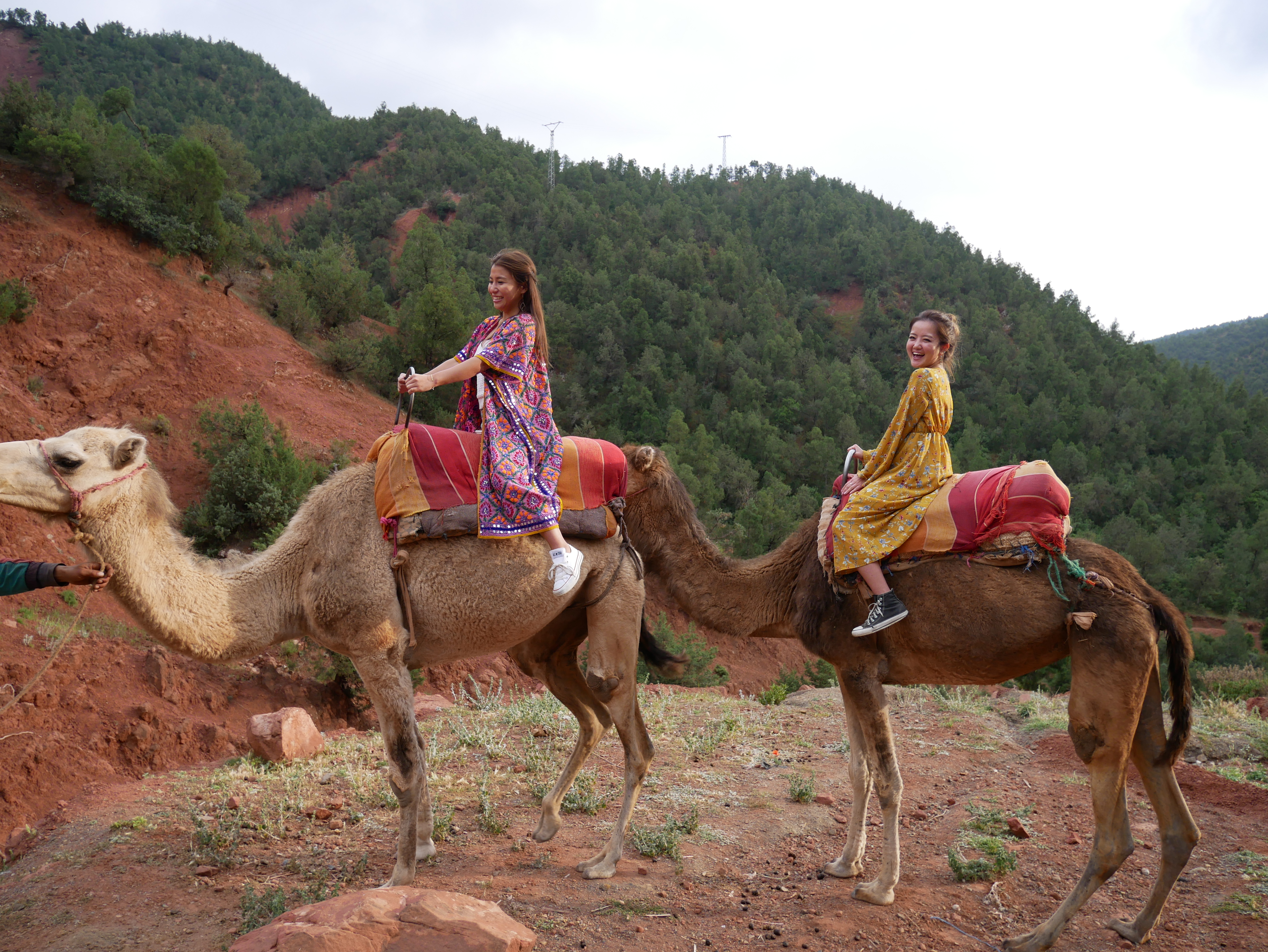 camel ride♡私たち前回サハラ砂漠で、散々乗ったから〜慣れたもんょ〜笑笑