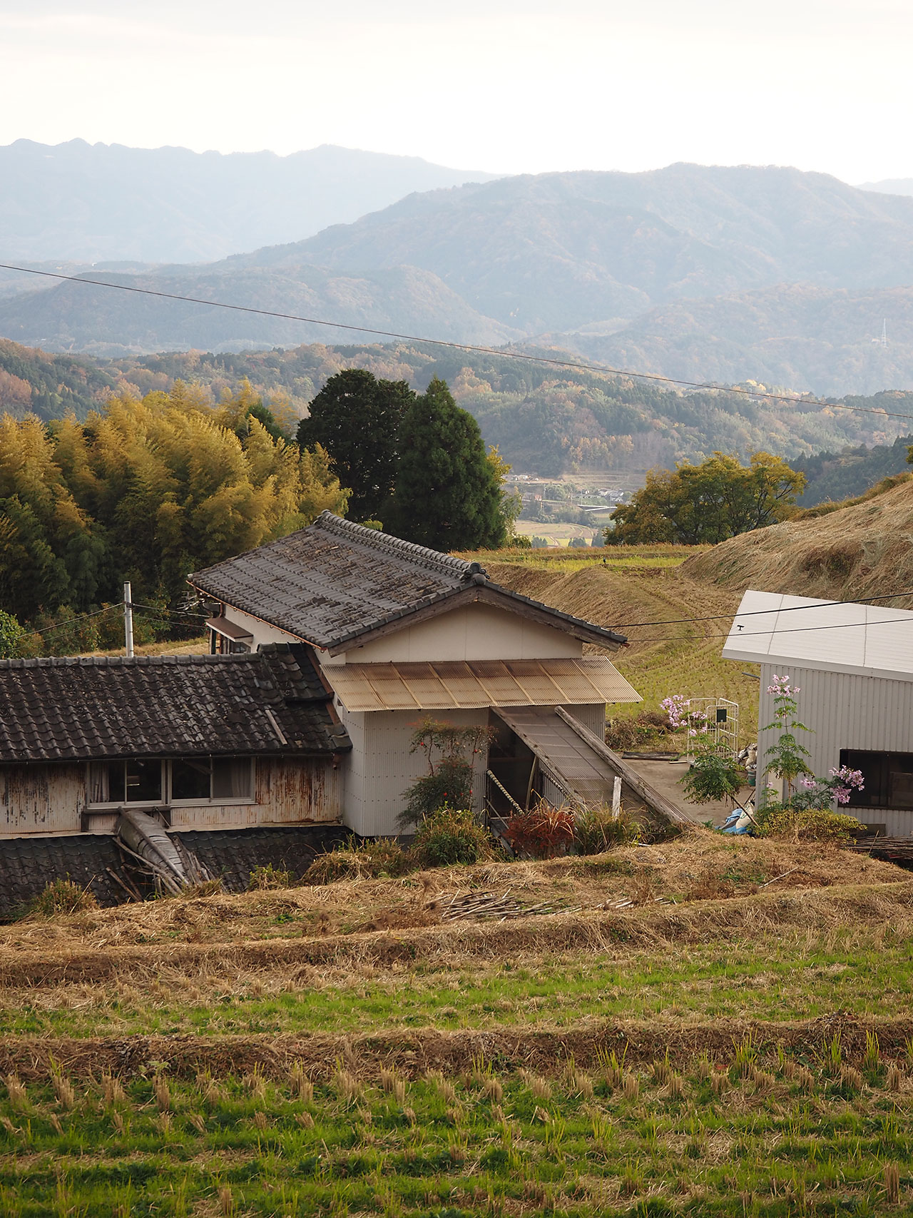 仕入日記:庄内竹細工「たけんなか舎」