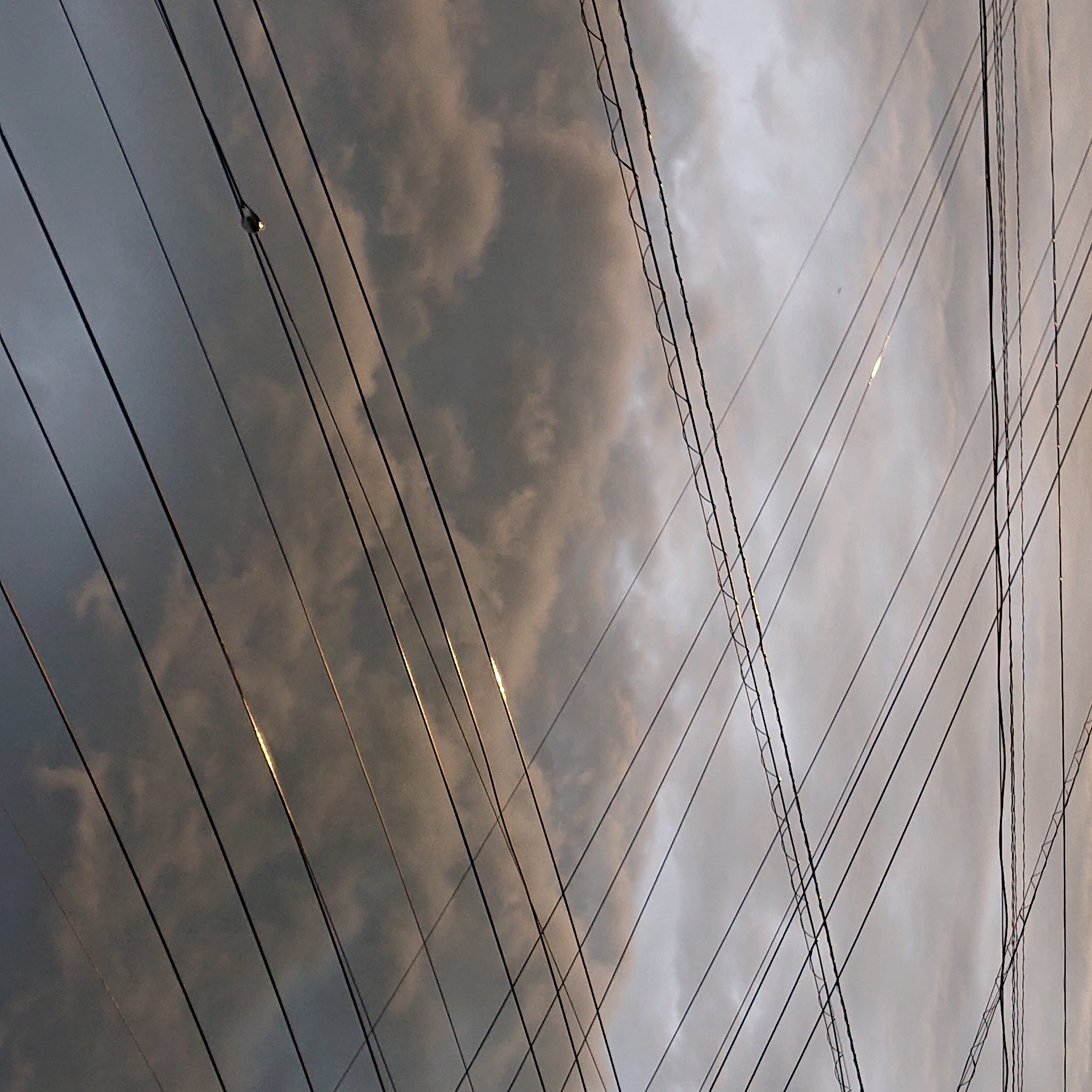 黄金色に染まる雲