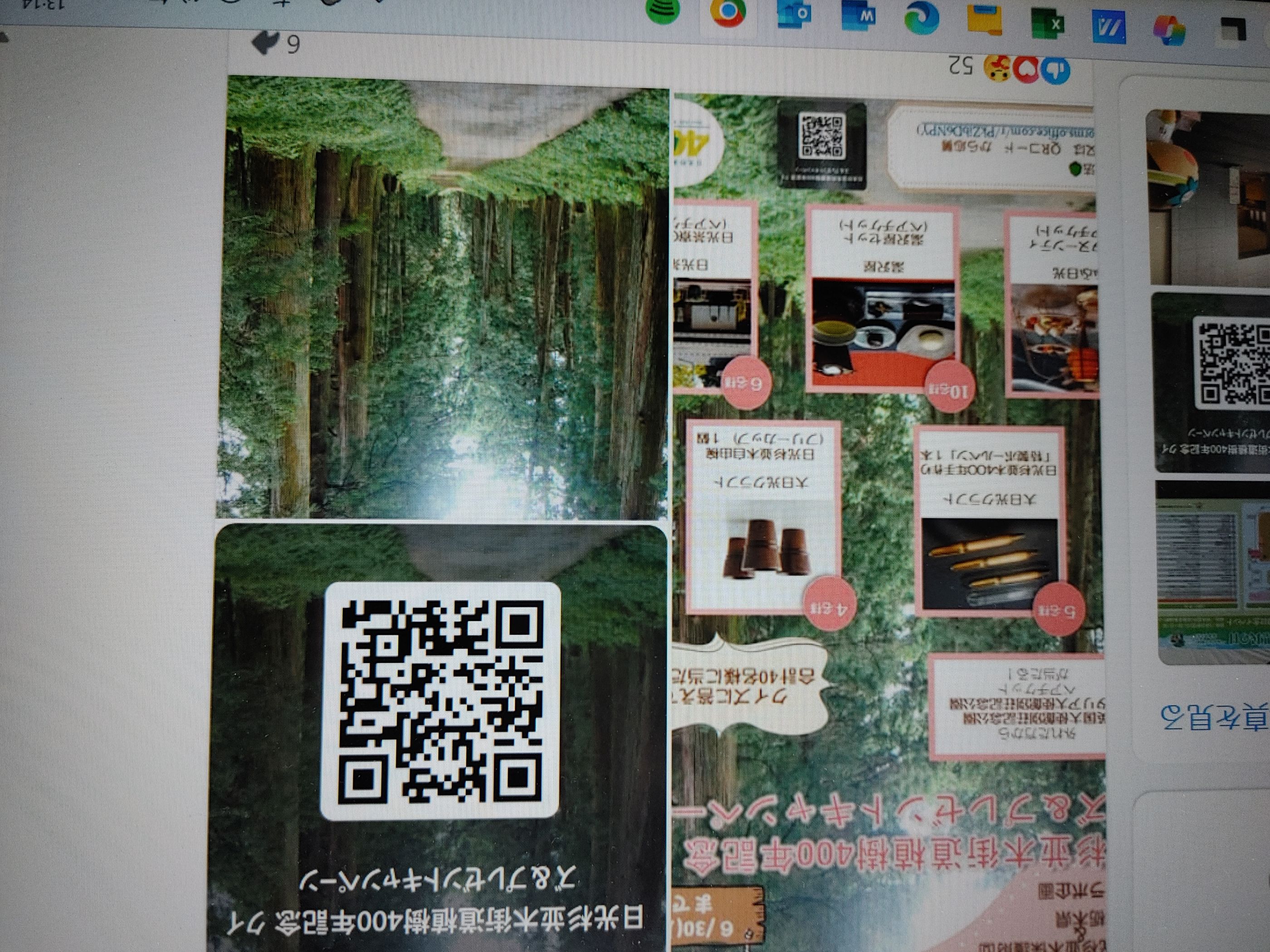 日光杉並木街道植樹400年を記念したプレゼントキャンペーン