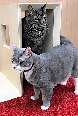 製品の取り扱いについて