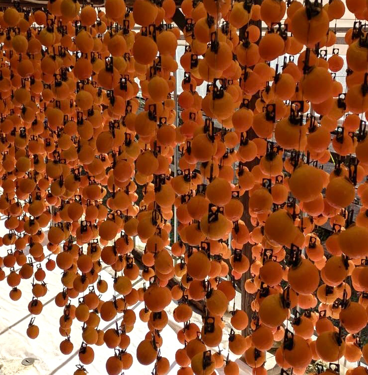 いちせさん家の干し柿の「今」