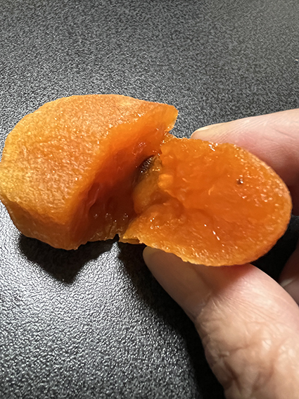 2022.12.10　完成間近