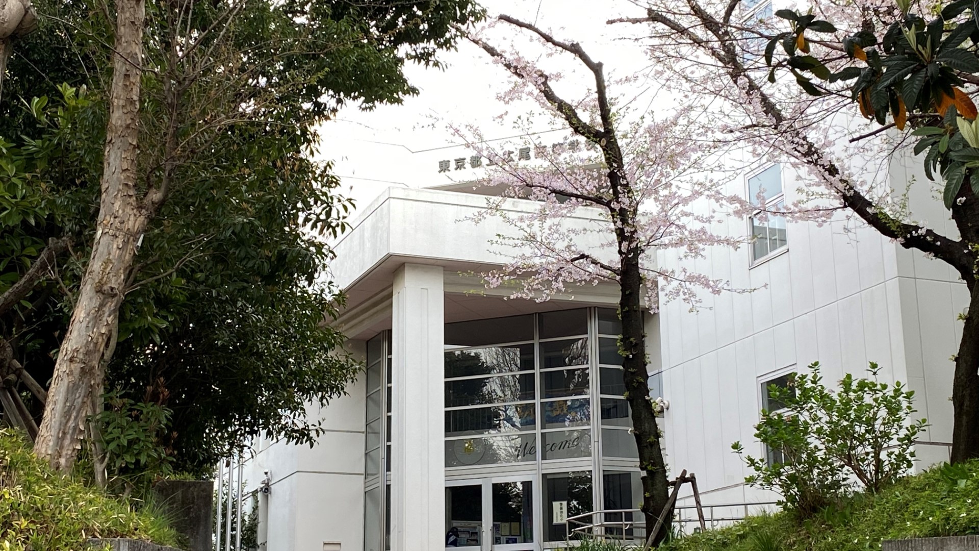 広尾高校